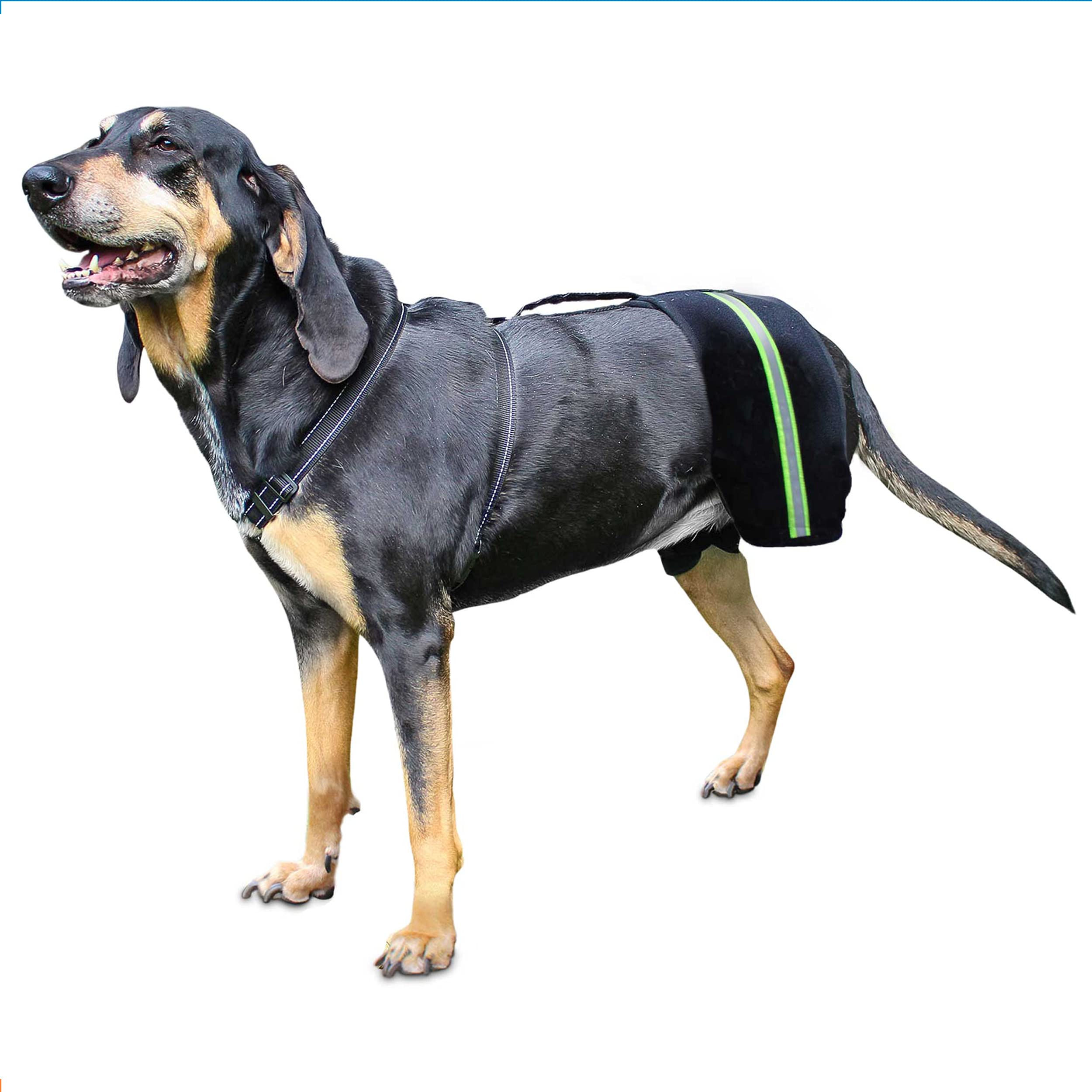 Walkin' Hip-EEZ Dog Hip Brace Support Harness System - Adjustable Canine Hind Leg Support for Amputees & Mobility Issues | Perfect for Post-Surgery Recovery, Arthritis Relief & Daily Mobility Assistance