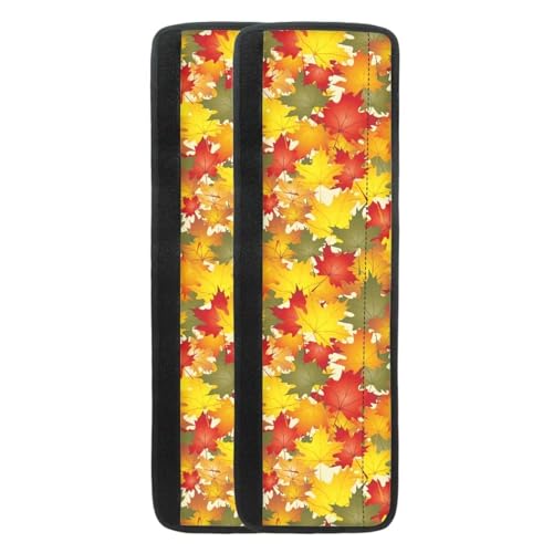 Colorful Maple Leaves