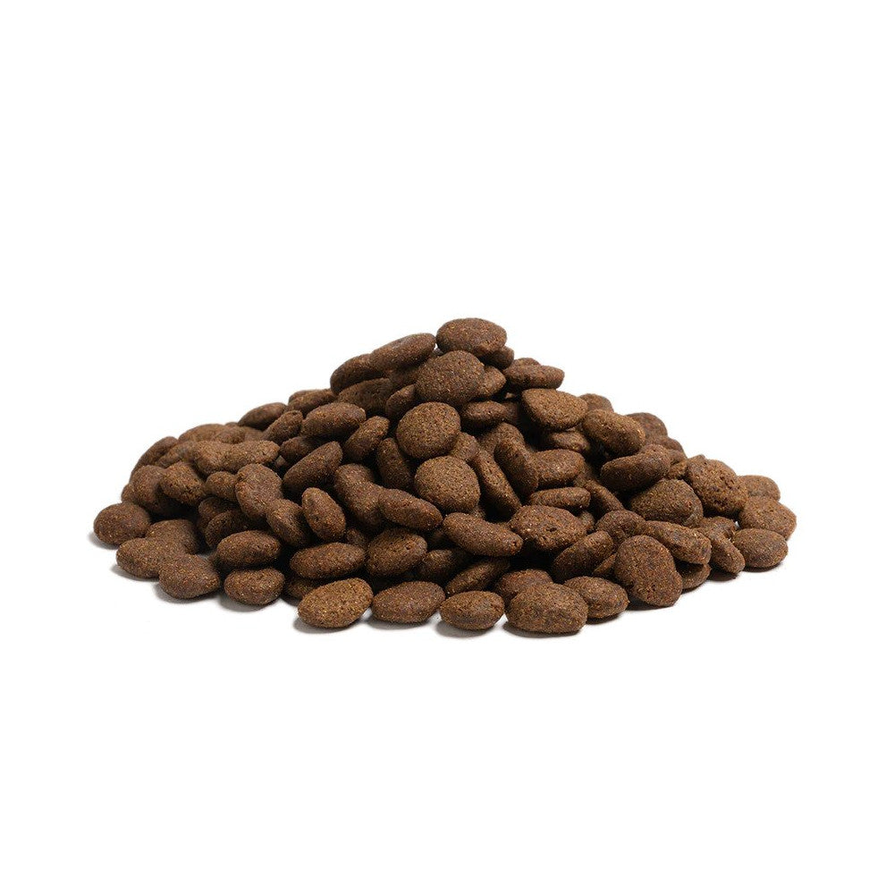 Premium Large Breed Puppy Dry Dog Food - High Protein, Nutrient-Rich Formula for Growing Puppies | Ideal for German Shepherds, Labradors & Golden Retrievers | Home Feeding & Training Treats