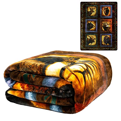 Assorted Animals Blanket Queen 79'' X 95'' Black