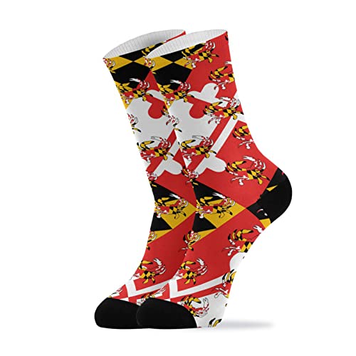 Maryland Flag