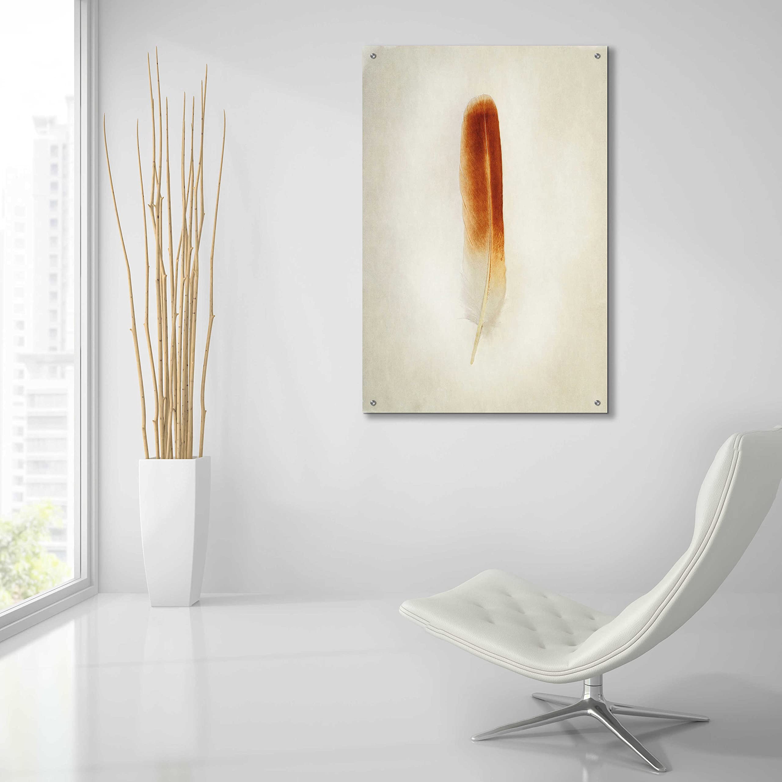 Epic Art 'Feather II' by Debra Van Swearingen - 24x36 Inch Acrylic Glass Wall Decor - Modern Abstract Painting for Living Room, Bedroom & Office Decor