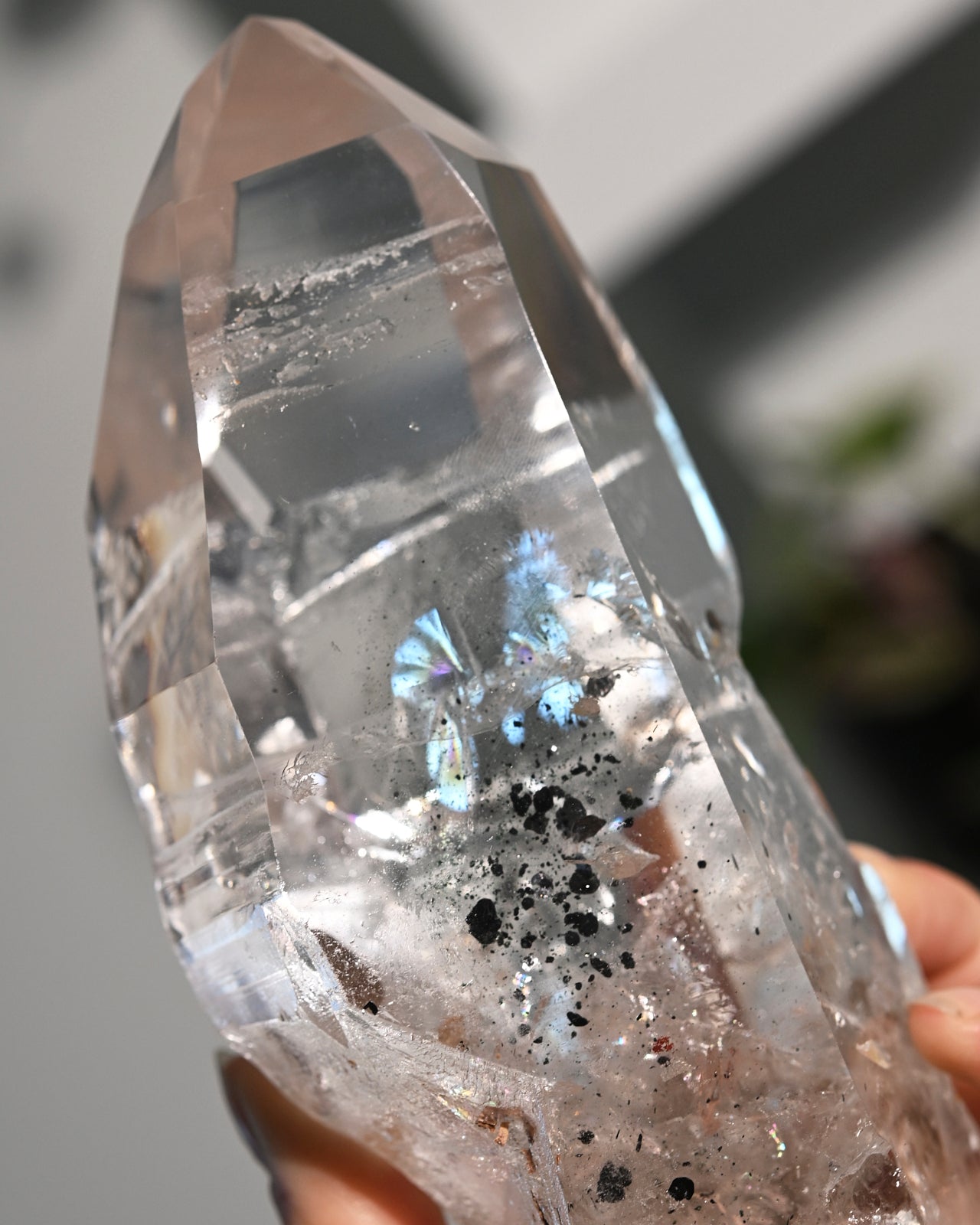 Lemurian Seed Crystal with Hematite Inclusions - Healing Stone on Display Stand | Perfect for Meditation, Energy Work & Spiritual Decor