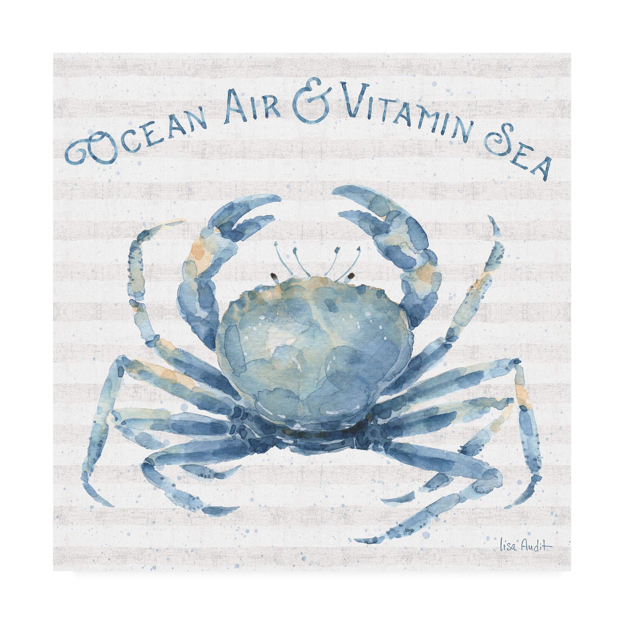 Trademark Fine Art Nautical Life X by Lisa Audit - 18x18 Inch Framed Wall Art - Perfect for Beach House Decor, Coastal Living Room, or Office Wall Art