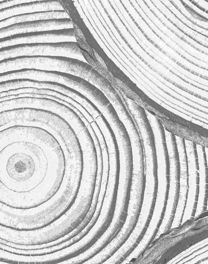 Nathan Turner Grey Faux Bois Wallpaper - Peel and Stick Removable Wallpaper for Living Room, Bedroom, and Office Decor