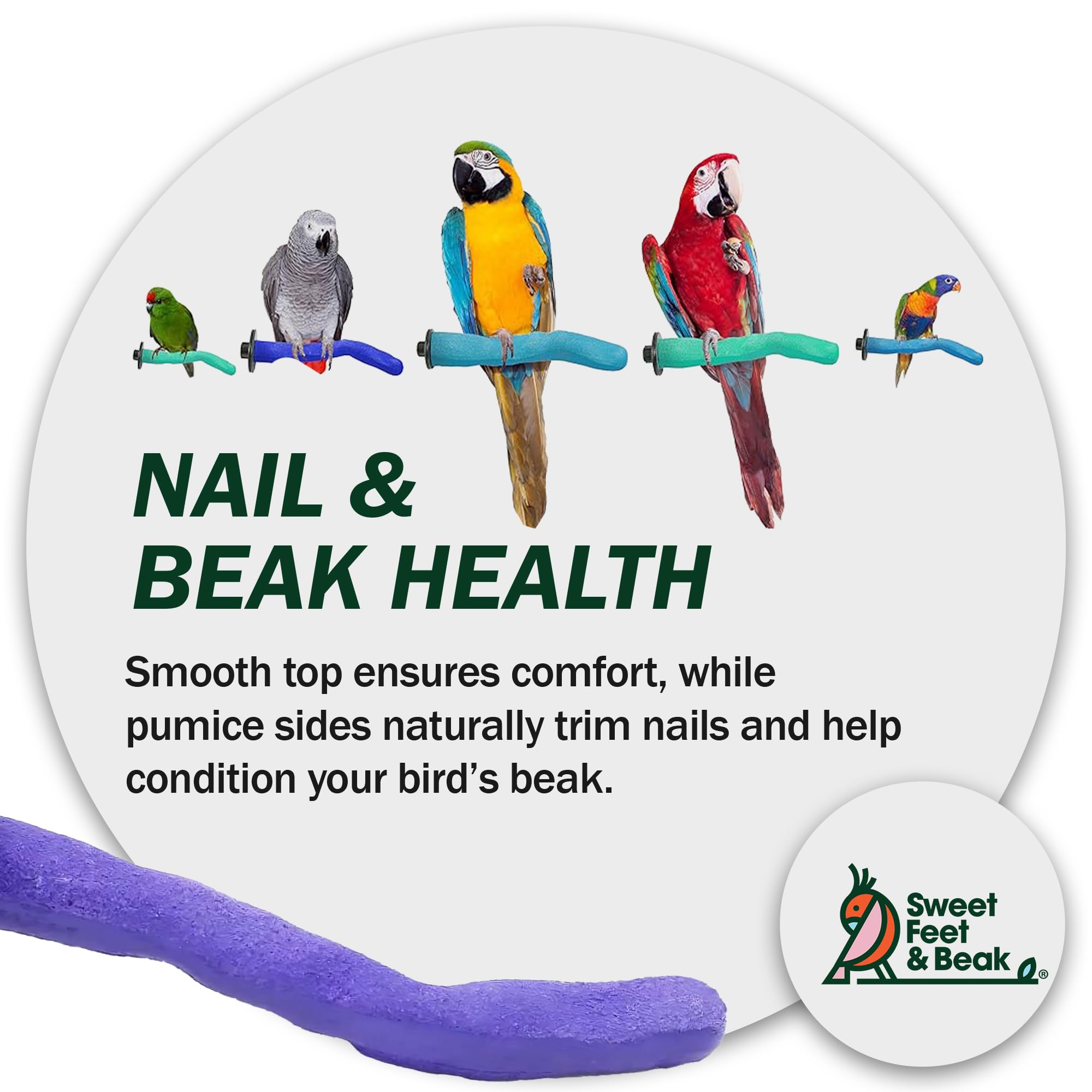 Natural Pumice Perch for Birds - 8