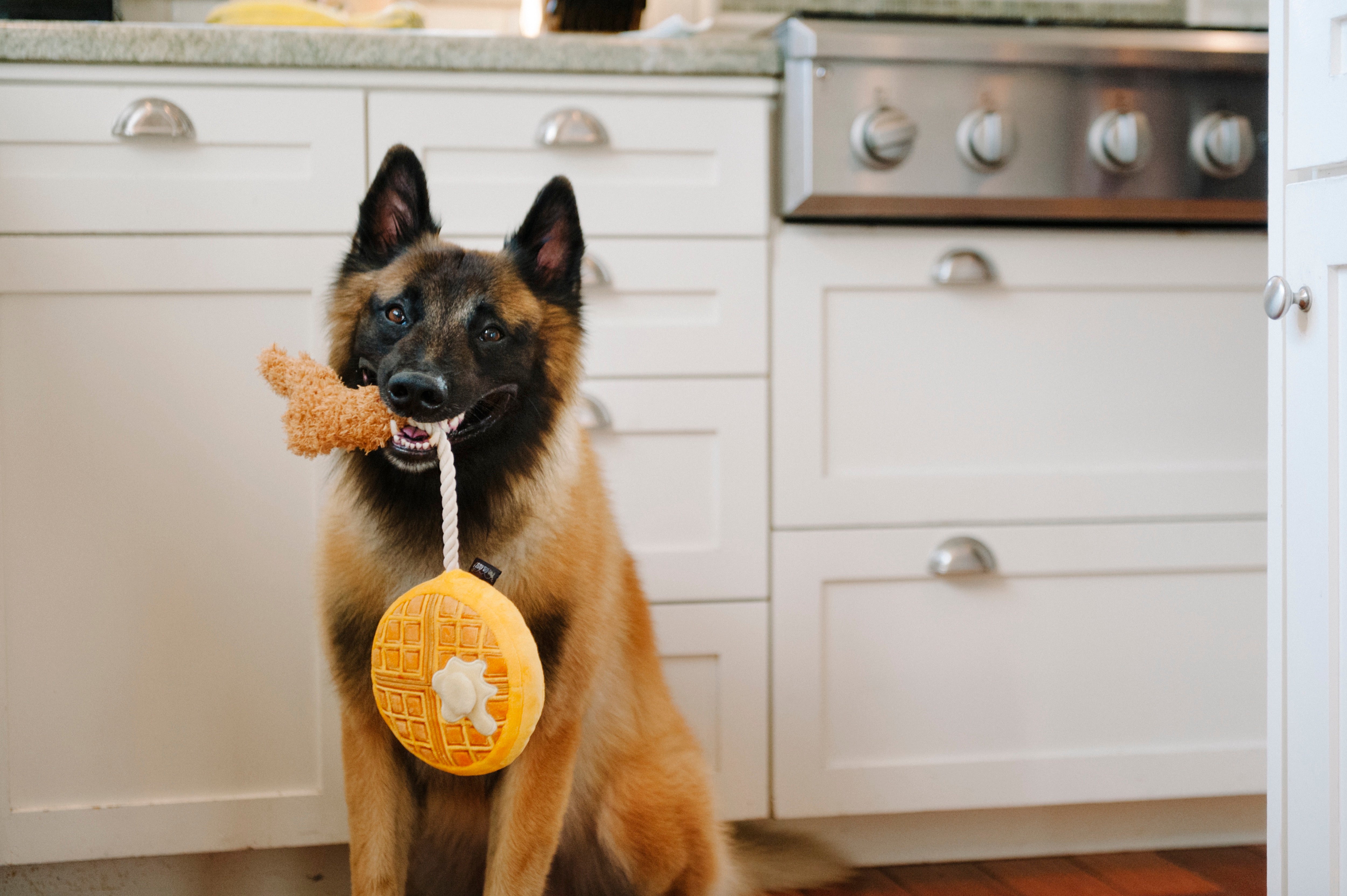 El Pollo y Waffle Plush Dog Toy - Barking Brunch™ Chew Toy for Dogs by Pet P.L.A.Y. | Soft & Durable Puppy Plaything for Fetch, Cuddling & Teething Relief