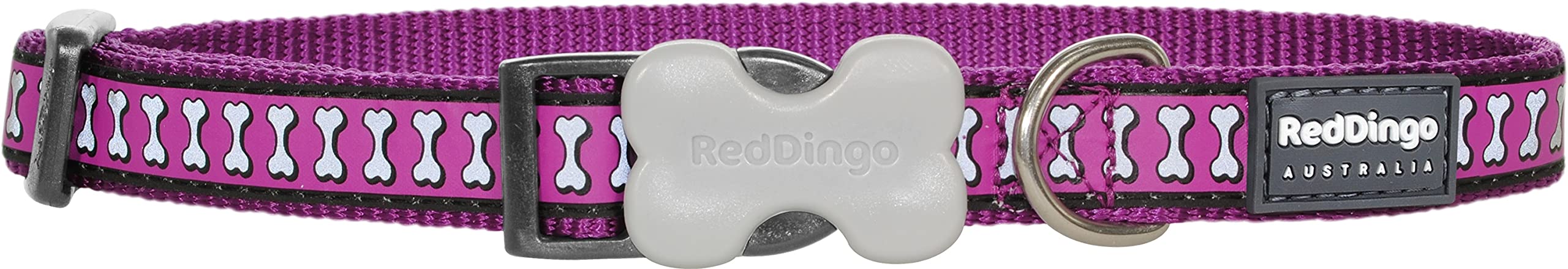 Red Dingo Reflective Dog Collar - Small Purple Adjustable Nylon Pet Collar for Safety & Visibility - Perfect for Night Walks, Jogging & Outdoor Adventures