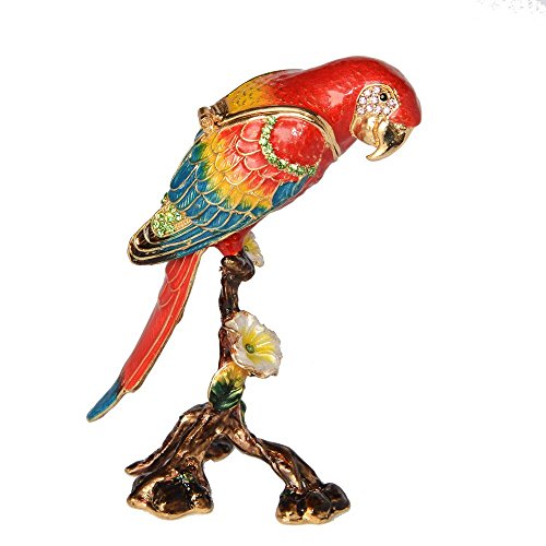 Macaw Parrot