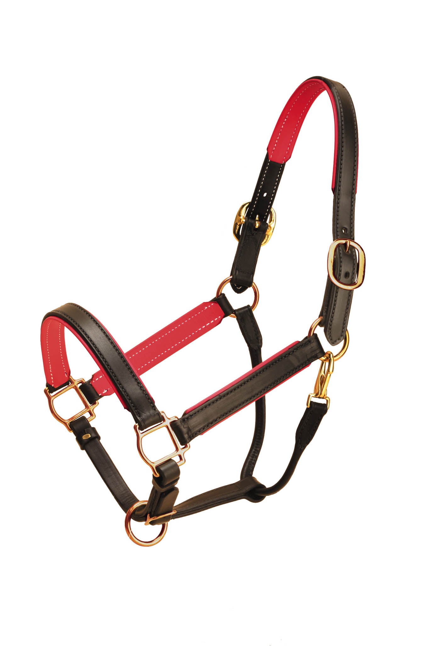 Premium Tory Leather 1-Inch Wide Padded Leather Horse Halter - Black/Green for Cob Size | Comfortable Equestrian Training & Show Equipment for Horses