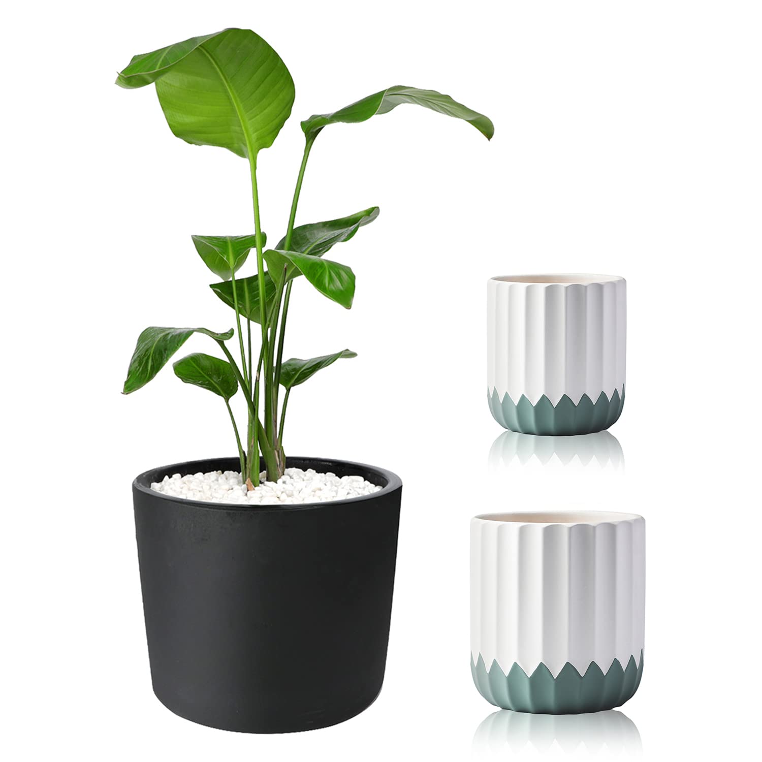 Modern Ceramic Plant Pots Indoor with Drainage Hole - Stylish Flower Planter for Home & Office Decor - Perfect for Succulents, Herbs, and Small Houseplants