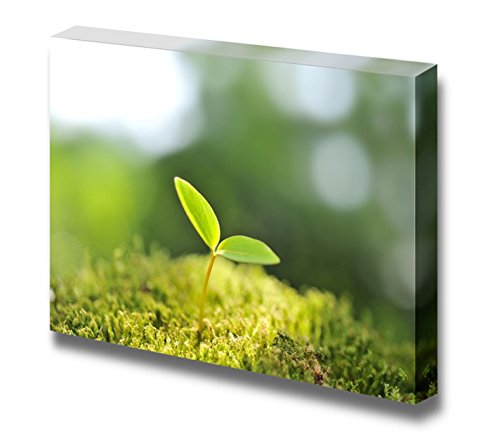 Green Sprout