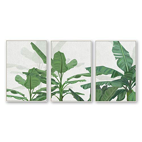 Plants-1909-n11