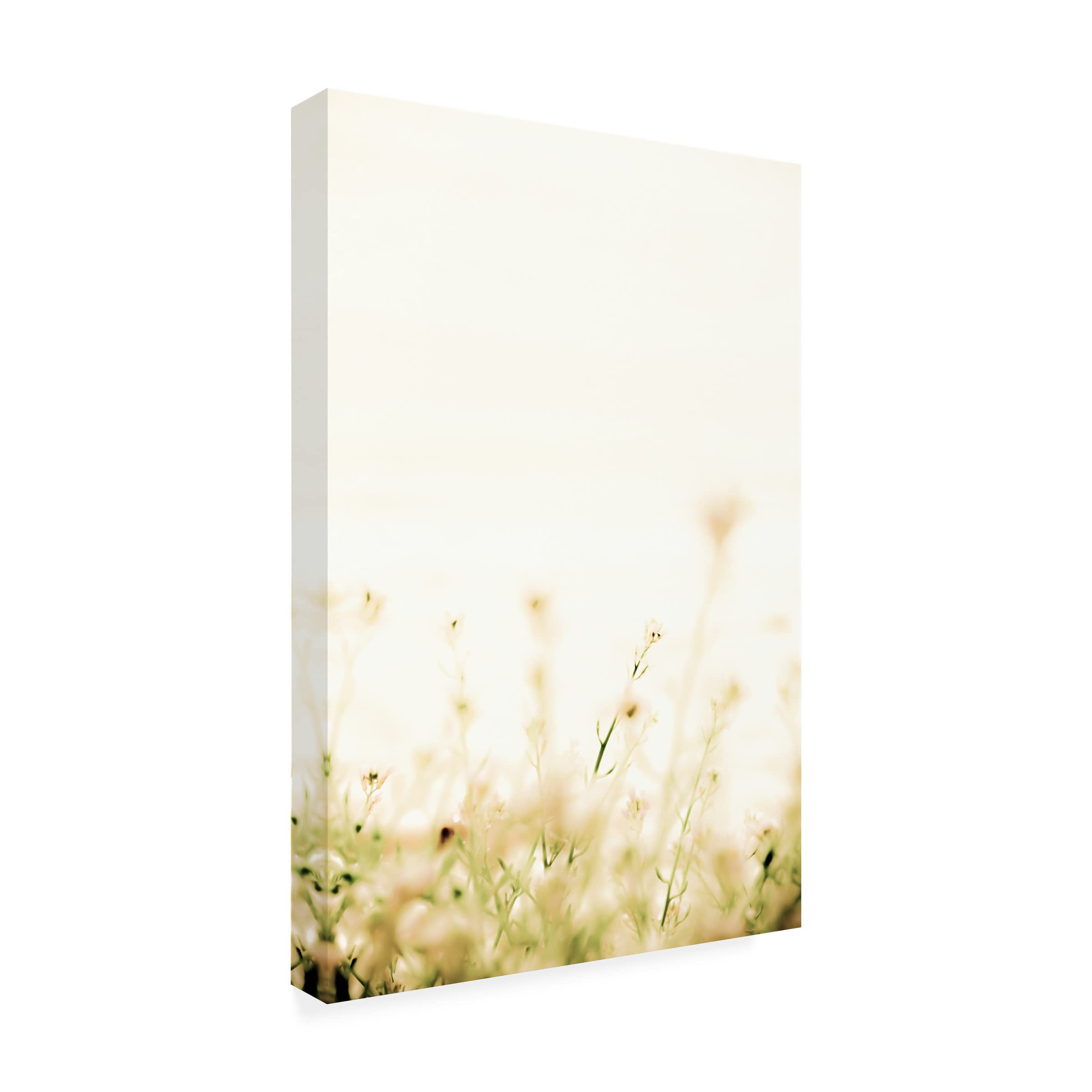 Blue Palomino 'Translucent Beach Flowers I' Canvas Wall Art Print - Coastal Home Decor for Living Room, Bedroom & Office