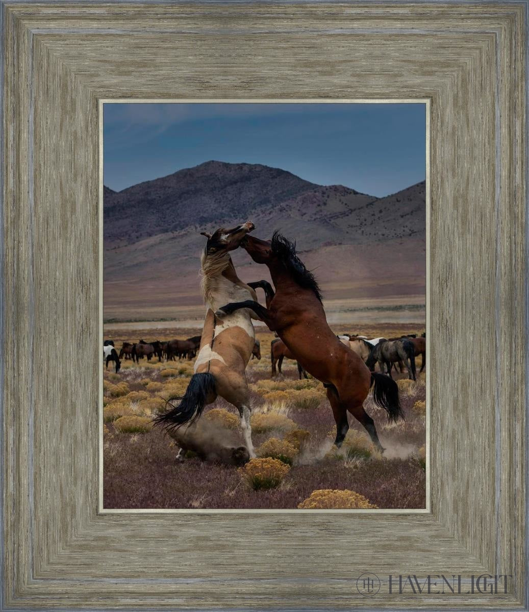 Desert Duel 1 by Greg Sargent - Western Adventure Novel for Adults | Perfect for Book Clubs, Gifts & Western Fiction Fans
