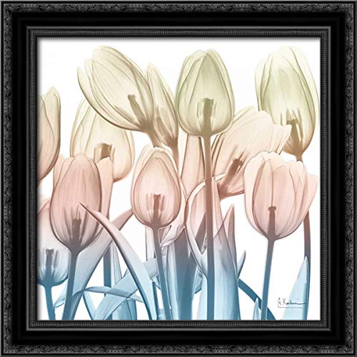 Albert Koetsier 20x20 Black Ornate Framed Canvas Art Print - Fantastic Bloom 2 | Wall Decor for Living Room, Bedroom & Office