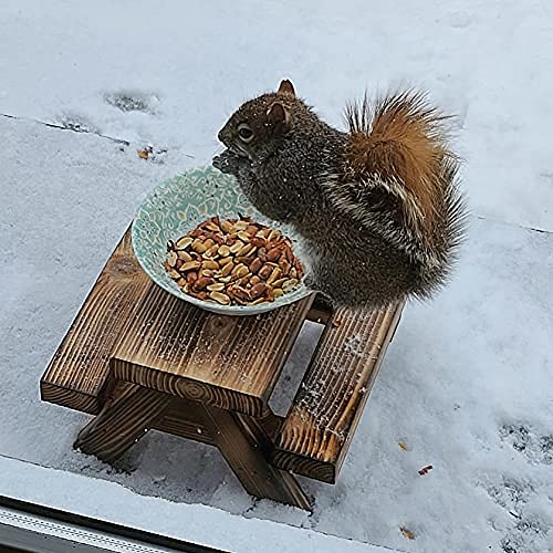Handmade Cedar Squirrel Picnic Table Feeder with Melamine Bowl - Wildlife Garden Decor for Backyard, Patio - Includes Squirrel Food Guide - Perfect Gift for Nature Lovers & Squirrel Enthusiasts (Outdoor Decor, Bird Watching, Garden Accent)
