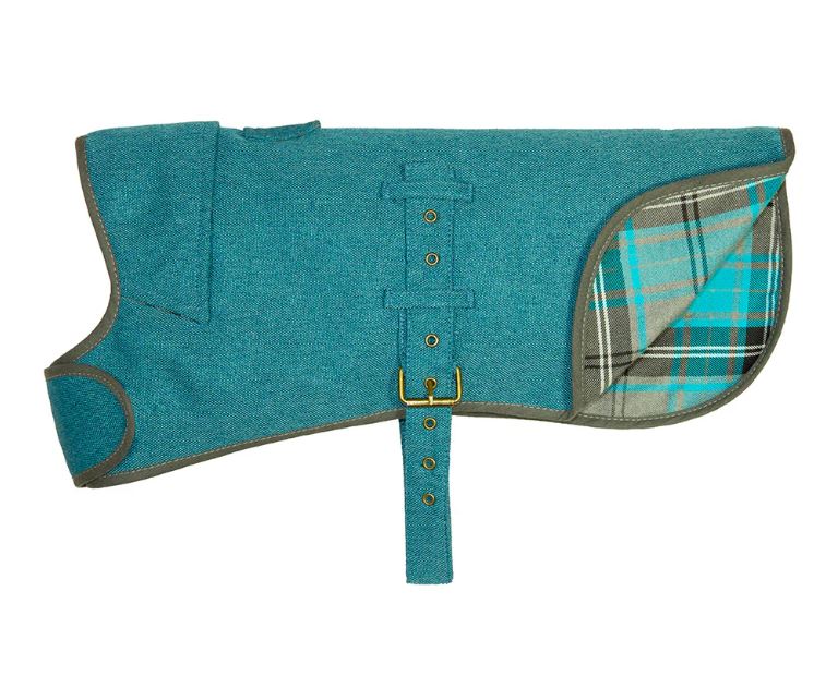 Teal