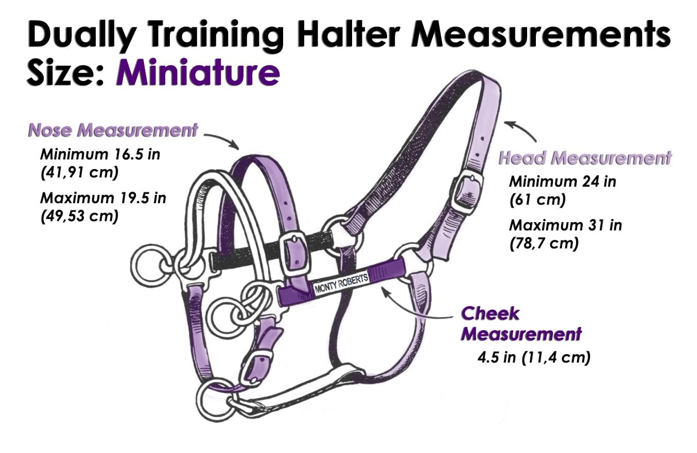 Monty Roberts Official Dually Training Halter for Mini Horses - Includes Free Instructional DVD | Perfect for Gentle Foal Training & Miniature Horse Handling