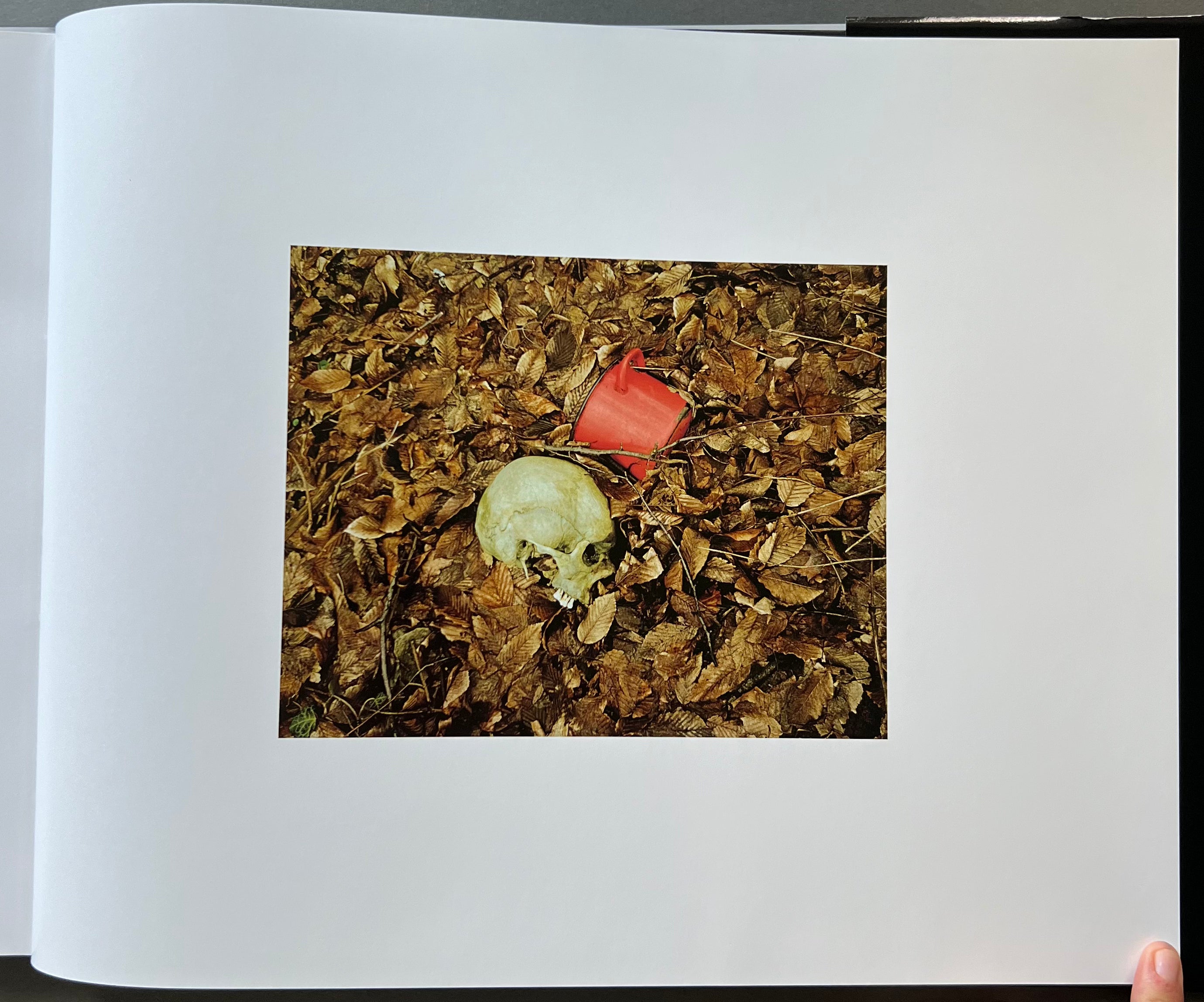 Bleed Print Edition - High-Quality Art & Design Book for Collectors, Artists & Enthusiasts | Perfect for Home Decor, Gifts & Creative Inspiration