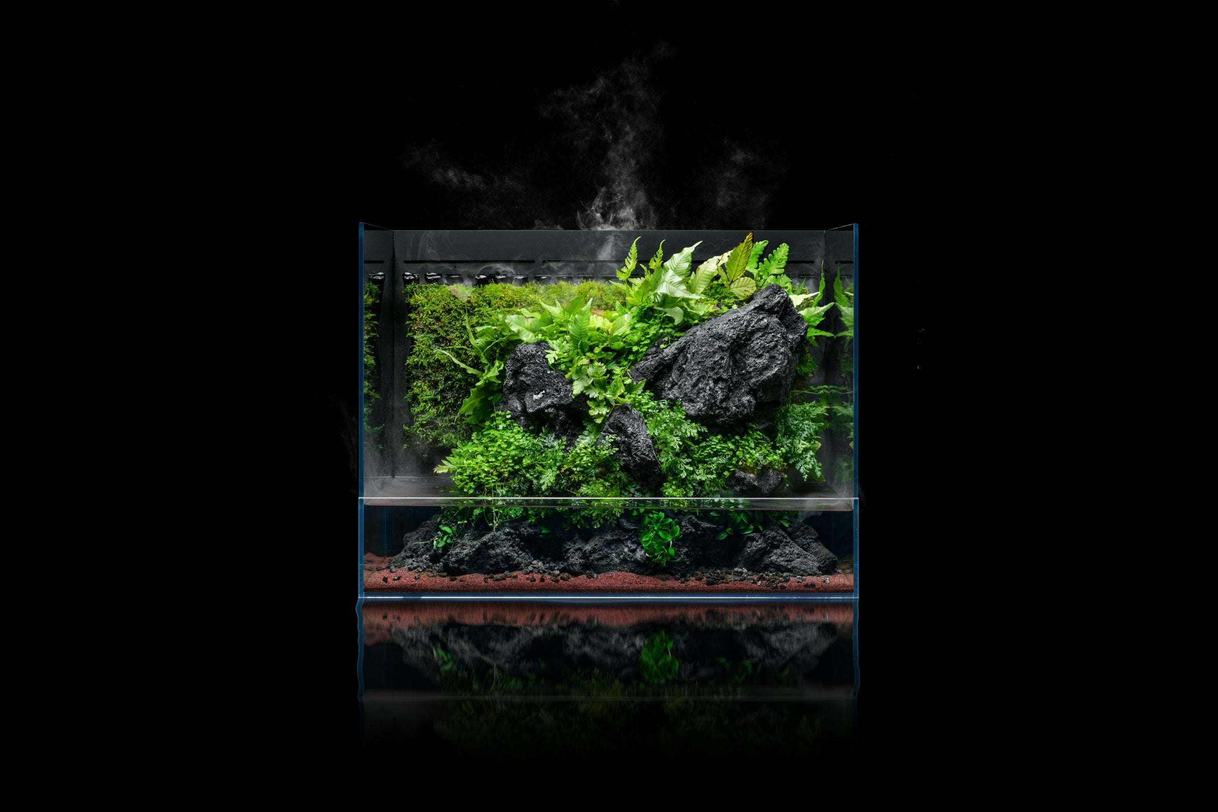 UNS Foresta 60E Integrated Paludarium - Premium Aquarium & Terrarium Combo for Reptiles, Plants & Fish - Perfect for Home, Office & Classroom Nature Displays