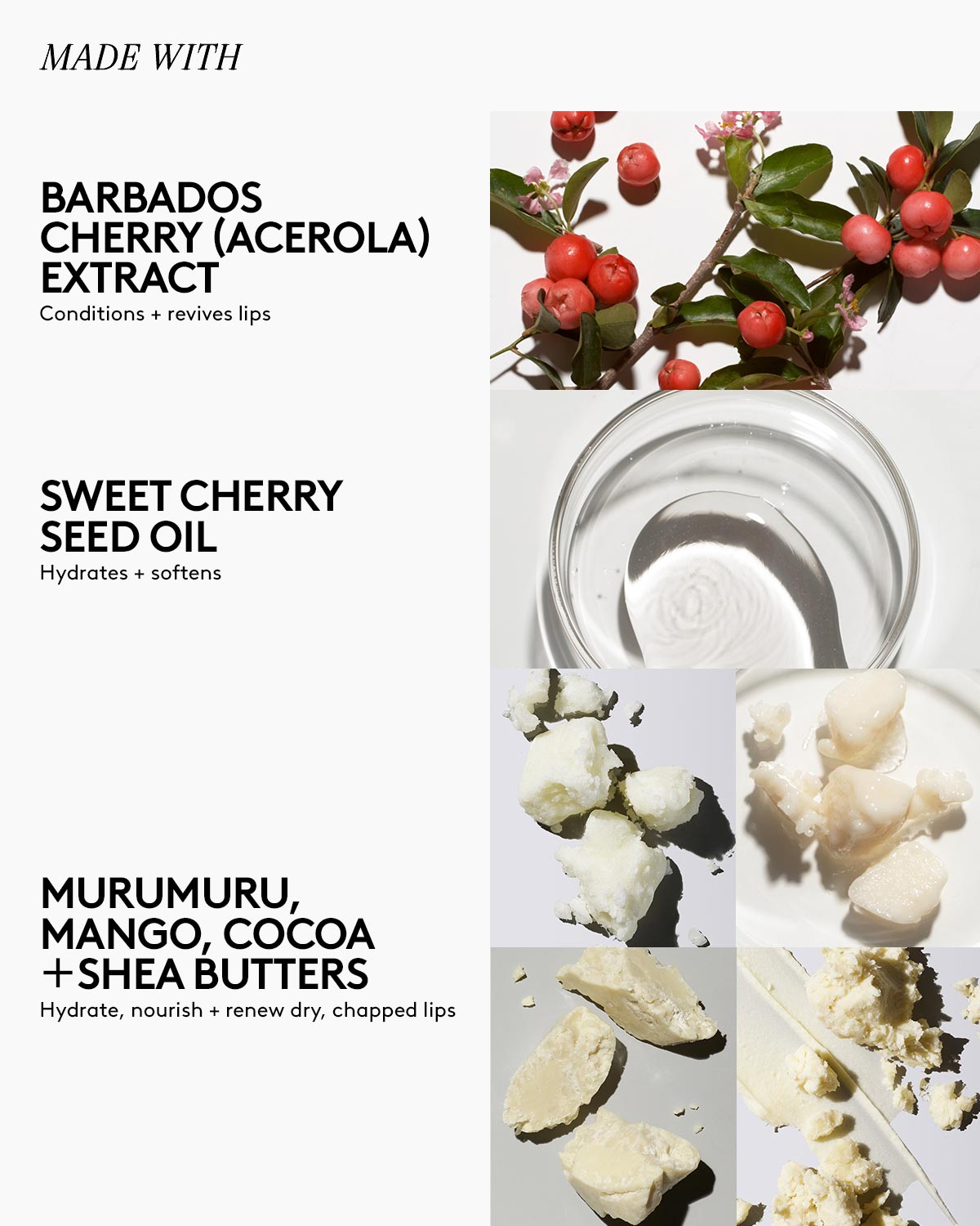 Ultra Hydrating Cherry Lip Balm with Barbados Cherry & Vitamin E - Moisturizing Lip Care for Dry, Chapped Lips - Perfect for Winter Skincare & Daily Hydration