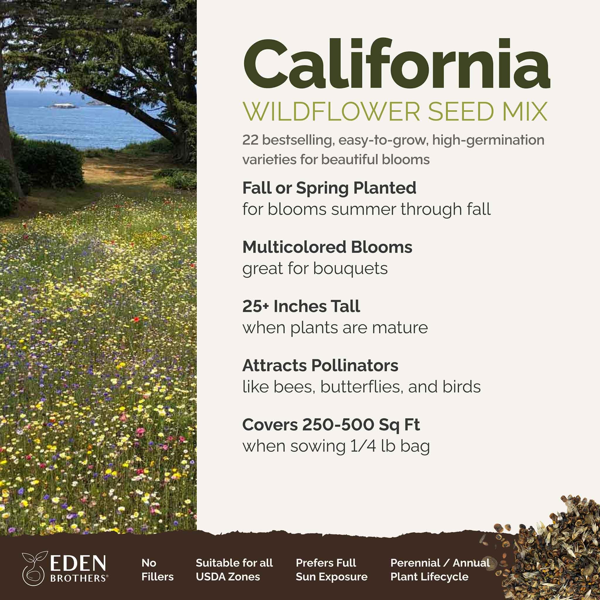 **Eden Brothers California Wildflower Seeds Mix - 1/4 lb (120,000+ Seeds) with Black Eyed Susan & Shasta Daisy - Attracts Pollinators, Easy to Grow for Spring/Fall Planting - USDA Zones 3-10 - Perfect for Gardens, Meadows & Landscaping**