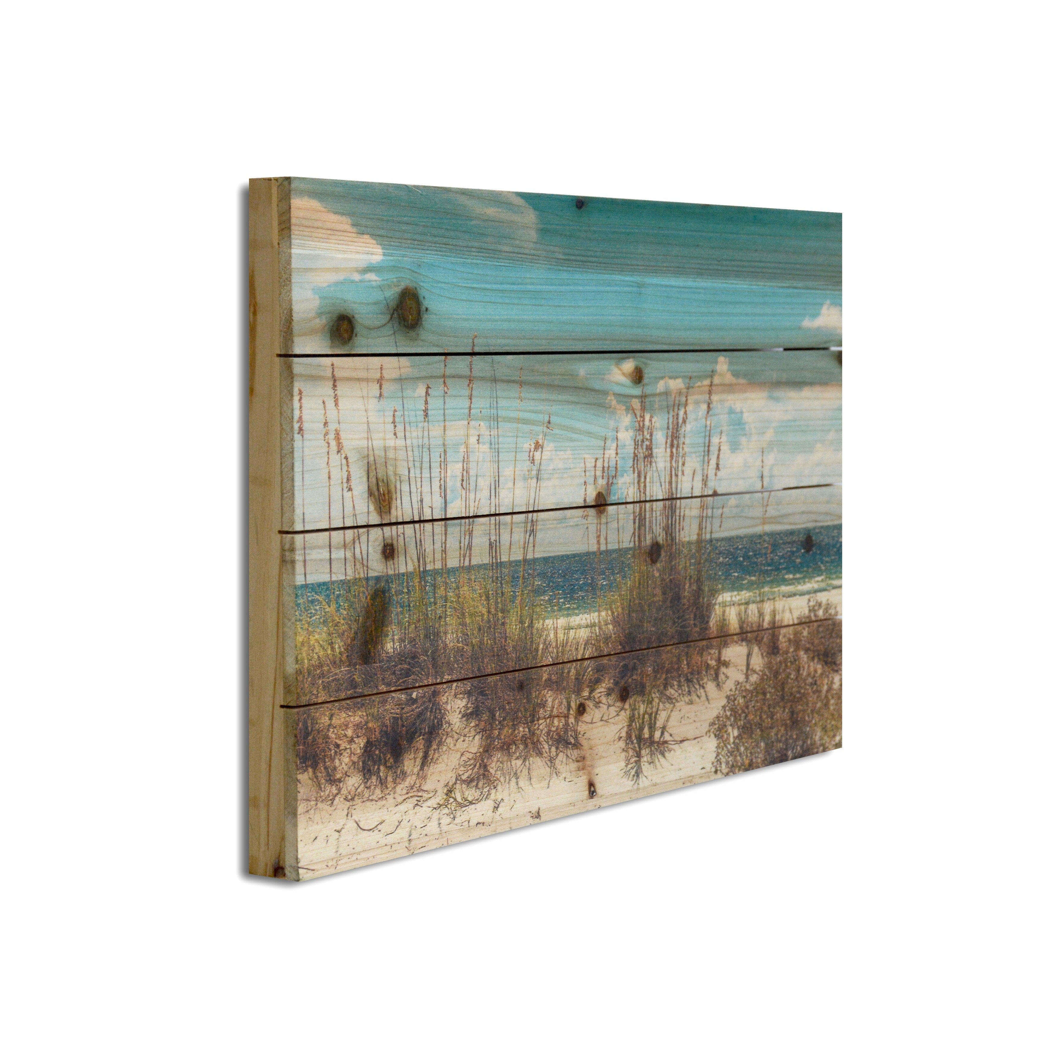Beach Sand Dunes Landscape Photography Print on Reclaimed Wood Wall Art - Coastal Home Decor for Living Room, Bedroom & Office
