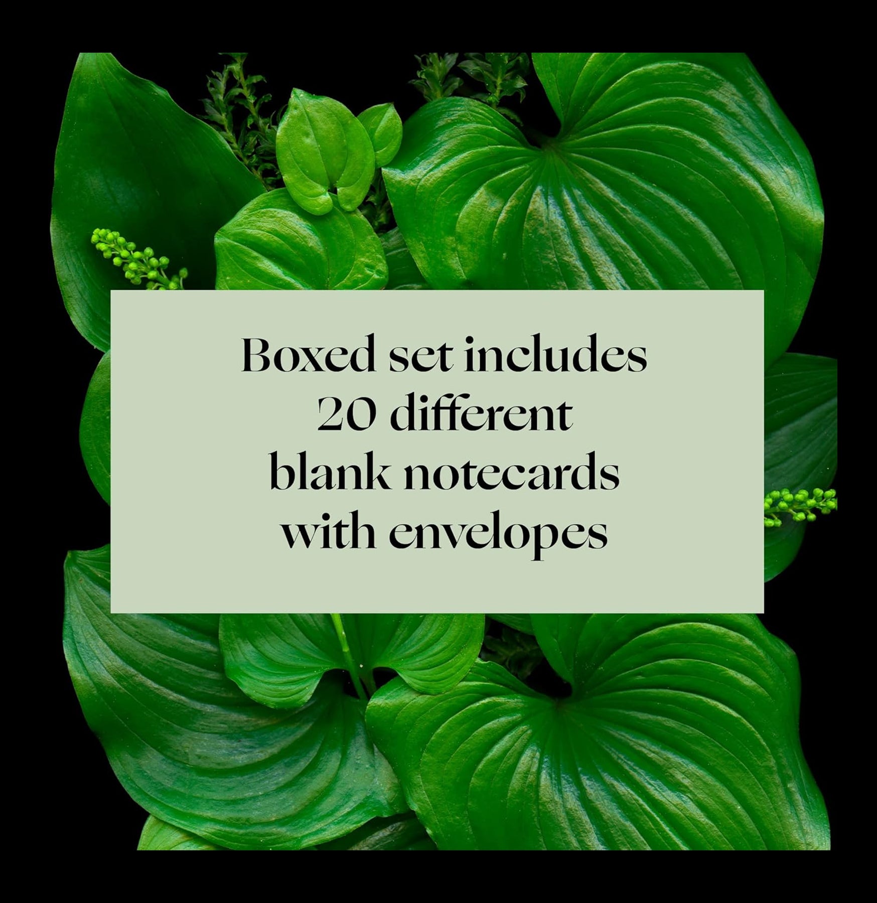 Deep Dark Forest Mushroom Notecards - Handmade Botanical Greeting Cards for Nature Lovers | Perfect for Thank You Notes, Birthday Cards & Wedding Invitations