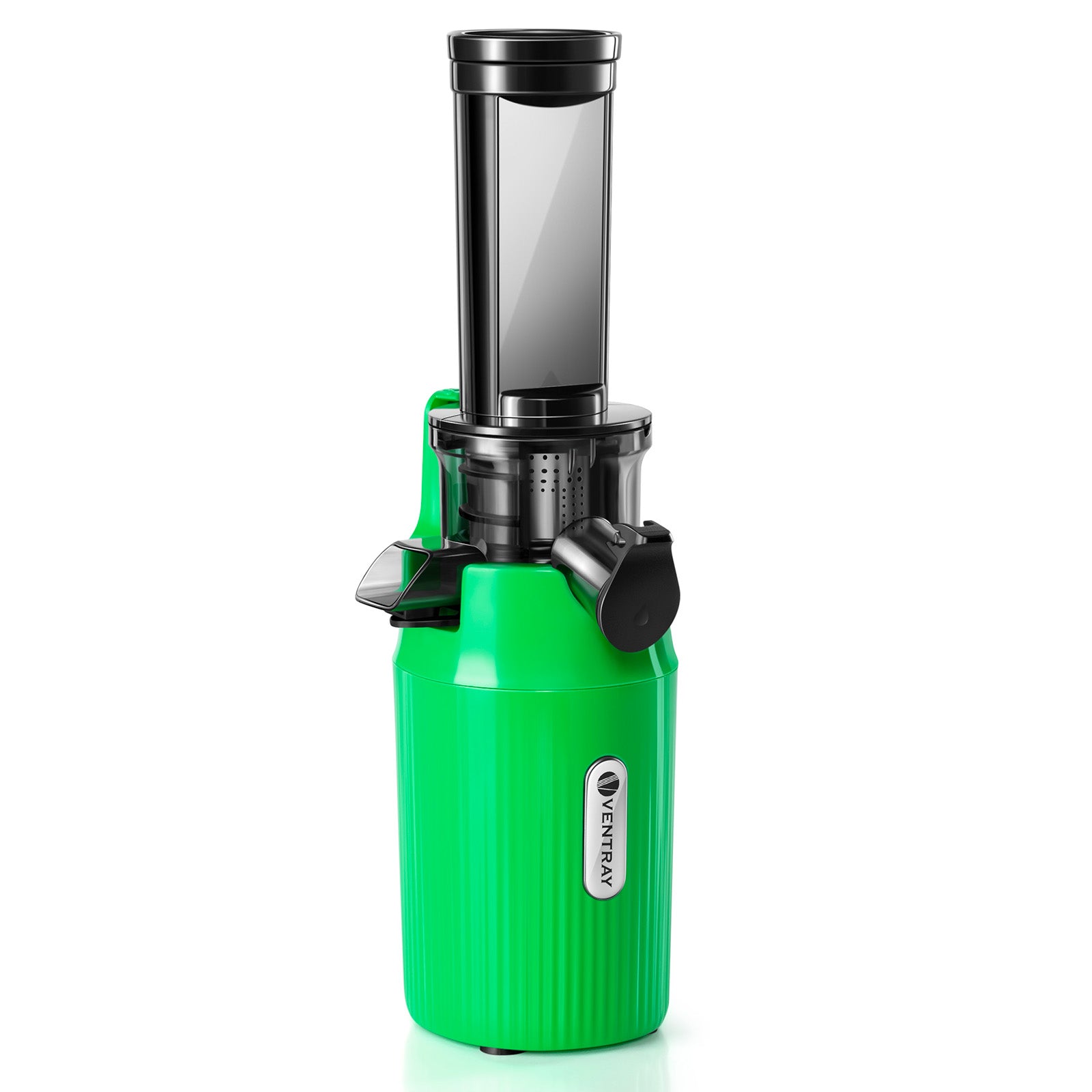 Parrot Green