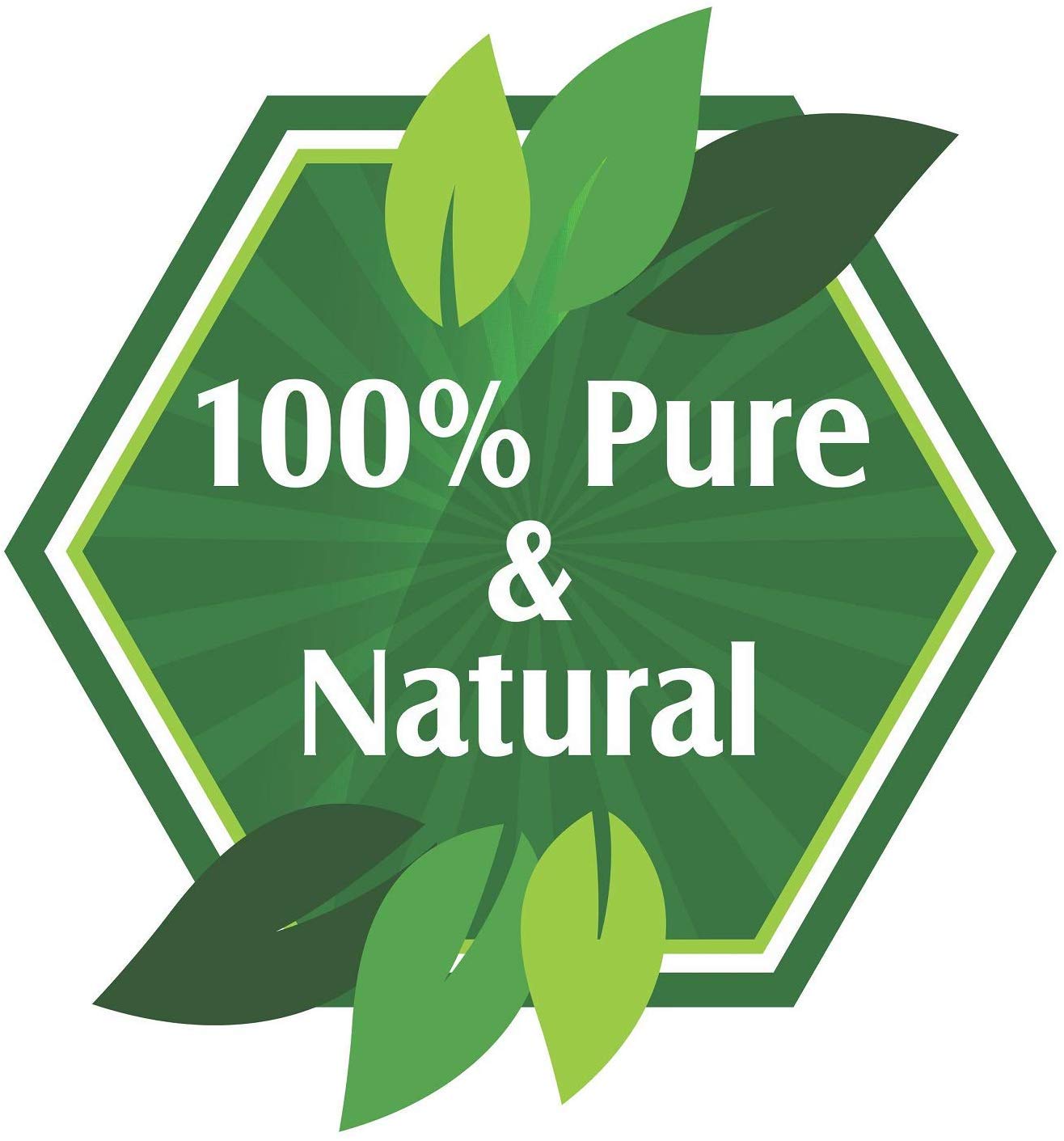100% Pure Organic Salvia Chironji (Buchanania Lanzan) Carrier Oil - Undiluted Natural Oil for Skin & Hair Care - Reduces Wrinkles, Soothes Skin, Clears Nasal Congestion - 15ml with Dropper - Perfect for Aromatherapy, Massage & DIY Beauty Products