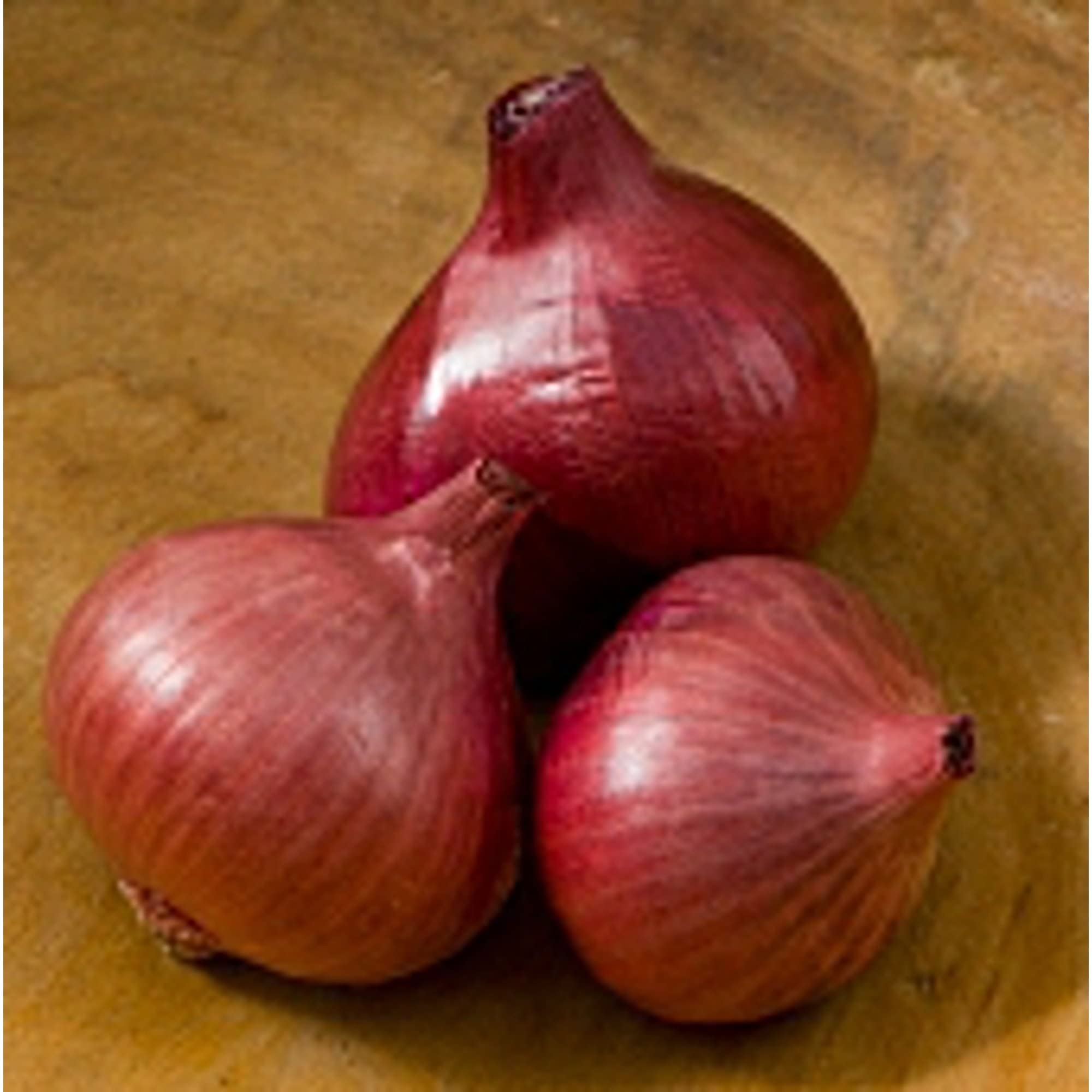 Organic Camelot Shallots Seeds (20+ Seeds) | Non-GMO Heirloom Vegetable Seeds for Planting | Home Garden, Greenhouse & Container Growing | Fresh Cooking, Gourmet Recipes & Farm-to-Table Dishes