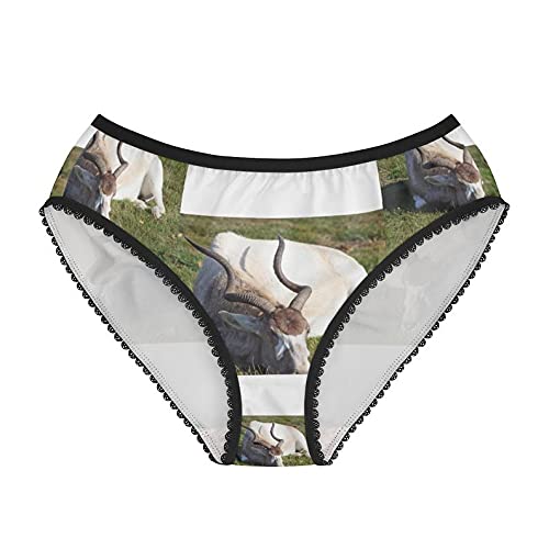 Addax Women's Cotton Briefs - Soft & Comfortable Underwear for Everyday Wear - Funny & Stylish Panties for Work, Gym & Relaxation