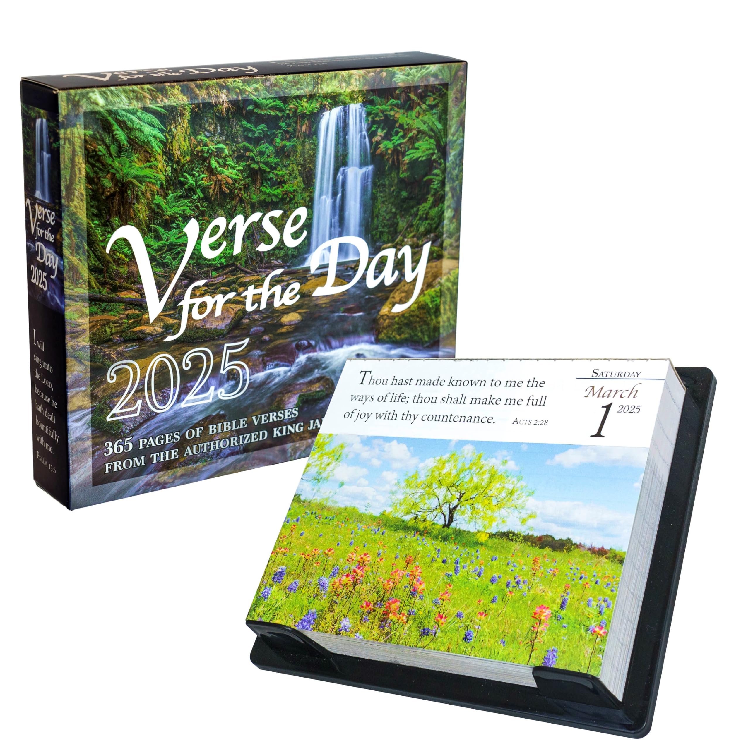 2025 Daily Bible Verse Calendar - KJV Scripture Devotional Planner with 365 Inspirational Pages - Perfect for Morning Devotions, Bible Study & Christian Gifts
