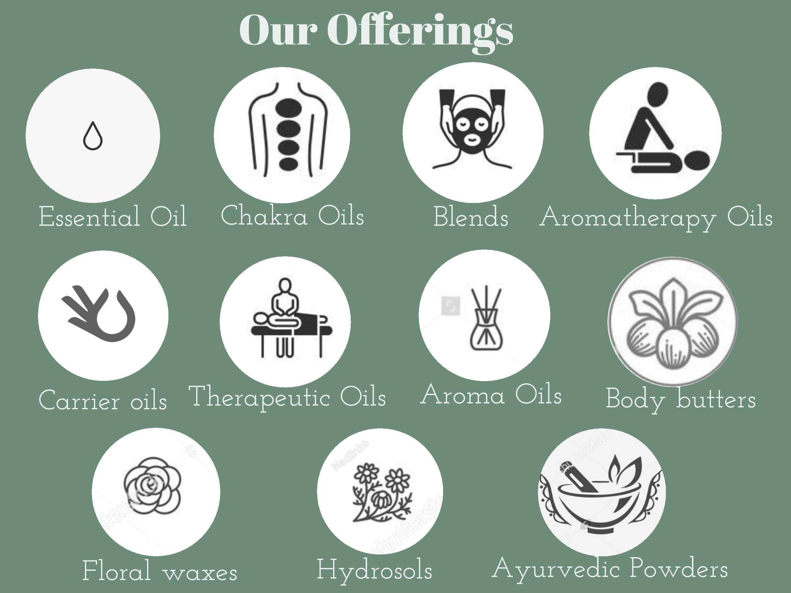 Pure Finger Root Essential Oil (Boesenbergia rotunda) - 2ml Steam Distilled with Glass Dropper - Natural Aromatherapy Oil for Relaxation & Skin Care