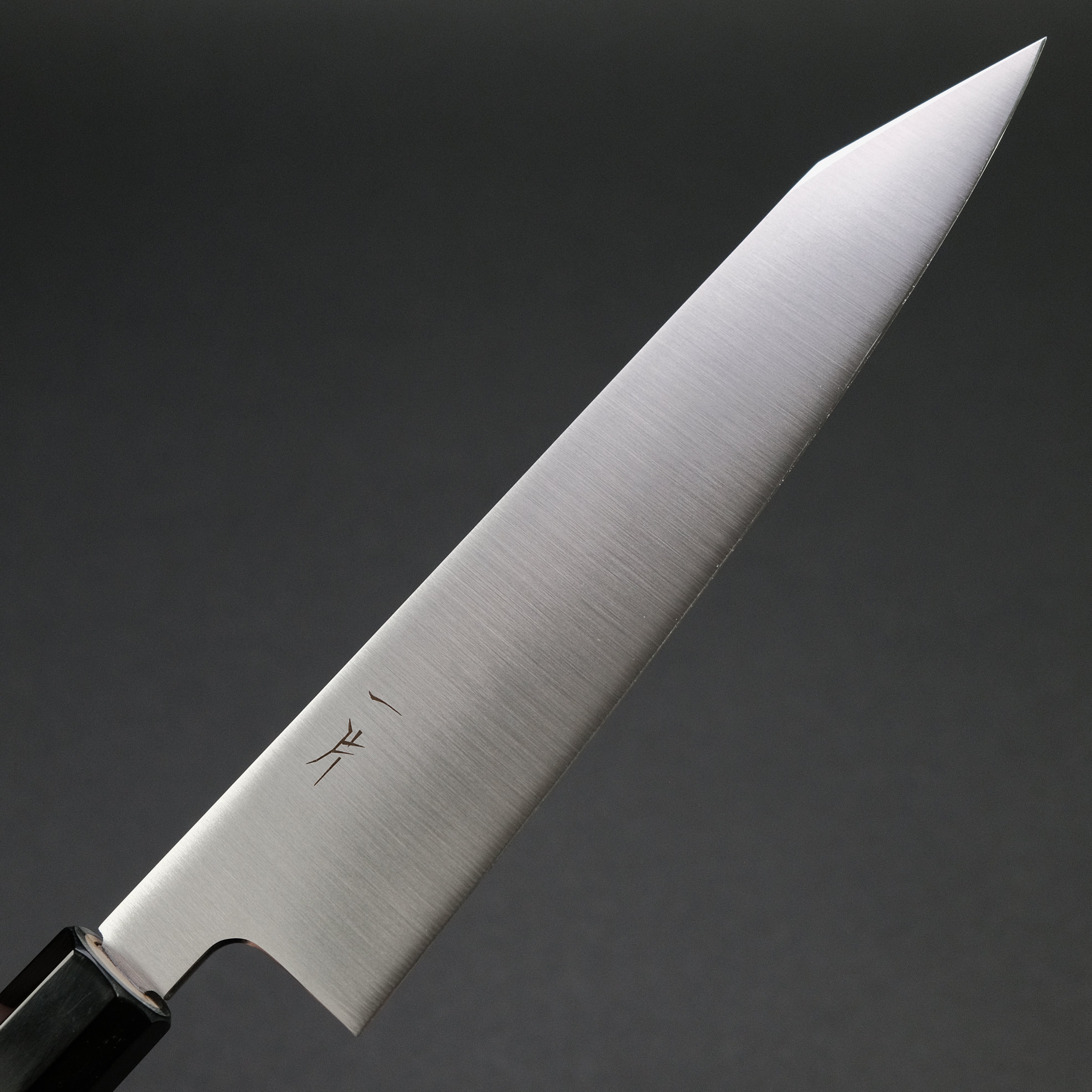 Hitohira FJ VG-10 Kiritsuke Gyuto Japanese Chef Knife 210mm - Premium Ho Wood Wa Handle - Perfect for Sushi, Sashimi & Precision Cutting