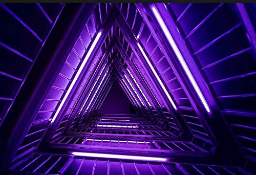 110V Flexible LED Neon Rope Light Strip - Violet Waterproof Neon Lighting for Wedding, Christmas Party, Home Decor (Indoor/Outdoor Use) - Perfect for Bedroom, Bar, Garden & Event Decoration