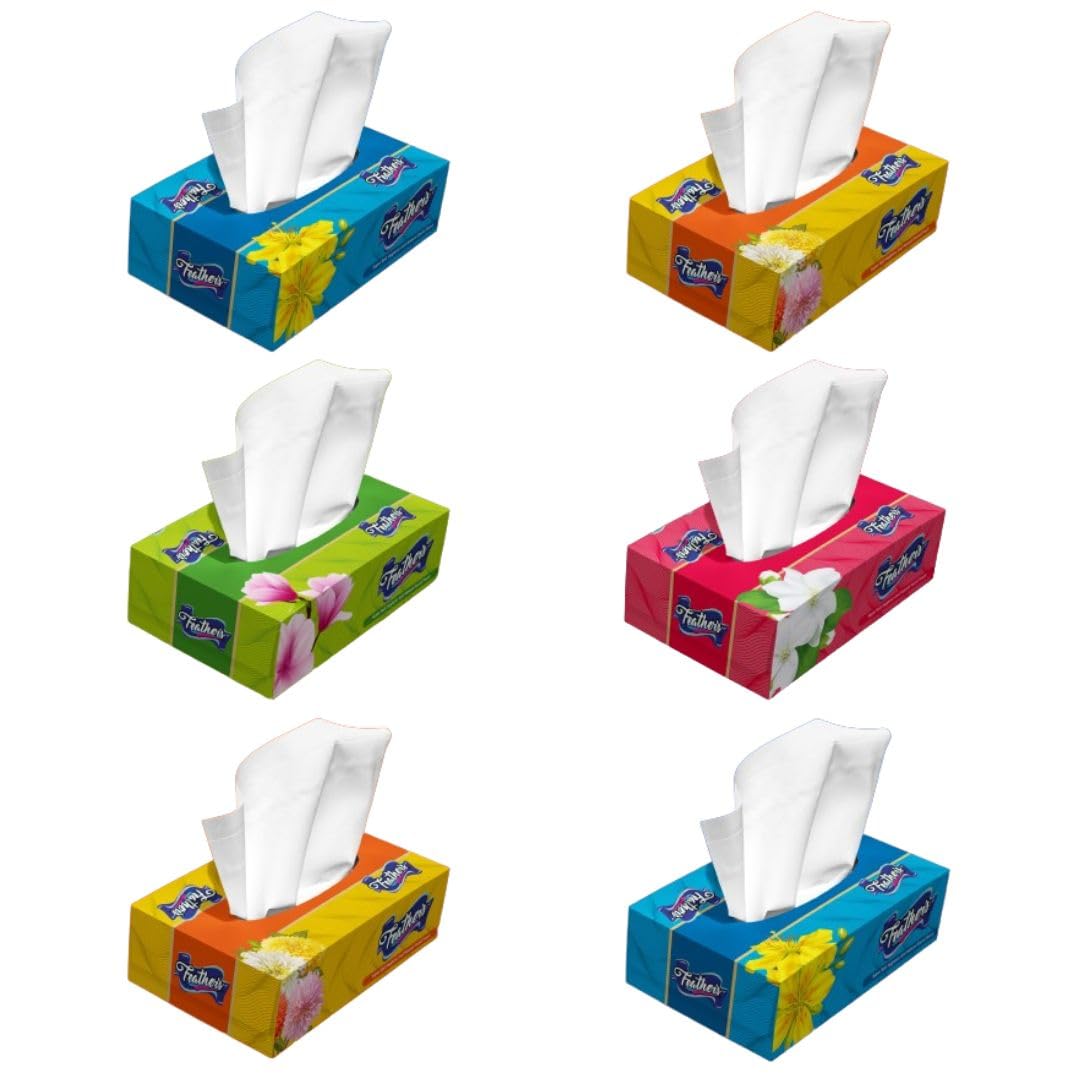 Premium 600-Ply 2-Ply Biodegradable Facial Tissues | Super Soft & Ultra Absorbent Virgin Tree Pulp Paper | 6-Pack (100 Pulls Each) for Home, Office & Travel | Eco-Friendly Face Wipes for Daily Use & Makeup Removal