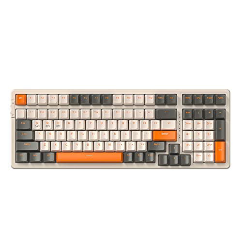 Off-white & Orange/Red Switch