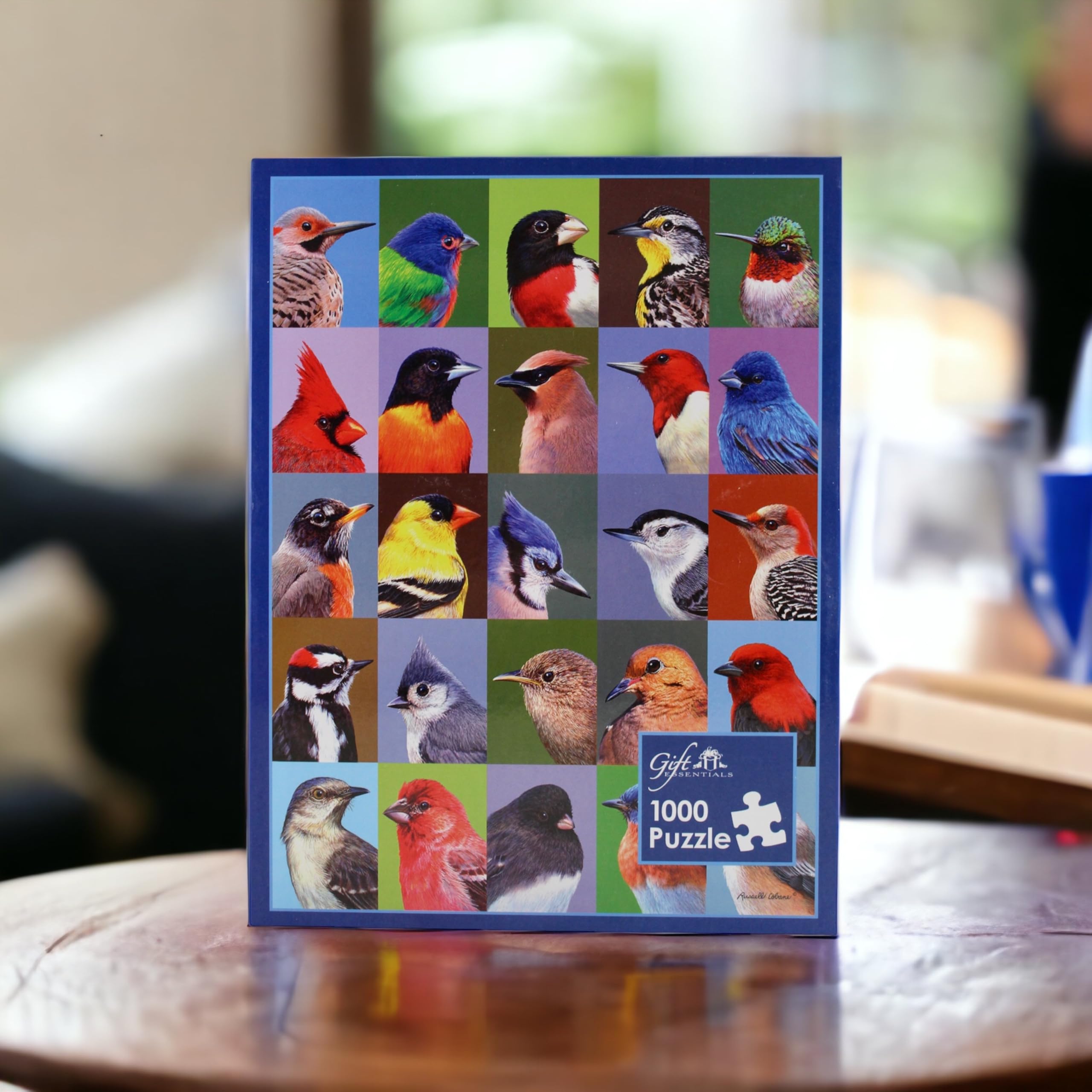 1000 Piece Jigsaw Puzzle - Backyard Bird Friends Collage - Challenging Puzzle for Adults & Kids - Perfect for Family Game Night & Educational Activity
