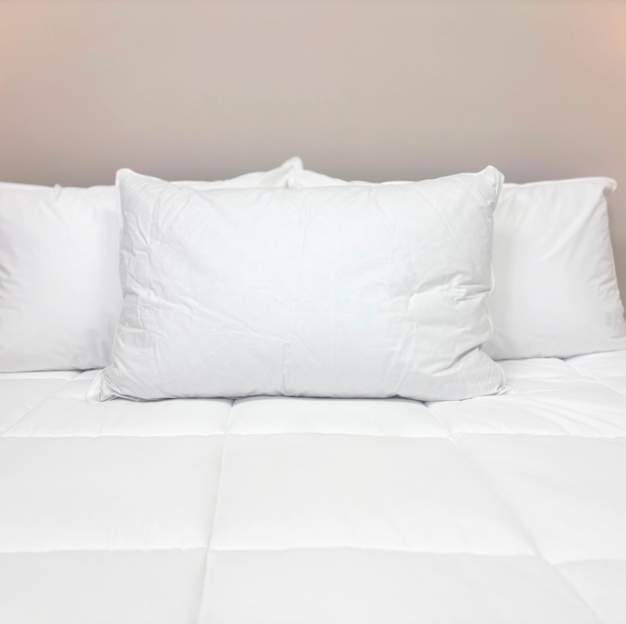 Premium Downlite 50/50 Waterfowl Feather & Grey Down Pillow - Ultra Soft & Supportive for Side, Back & Stomach Sleepers - Perfect for Bedroom, Guest Room & Hotel Use