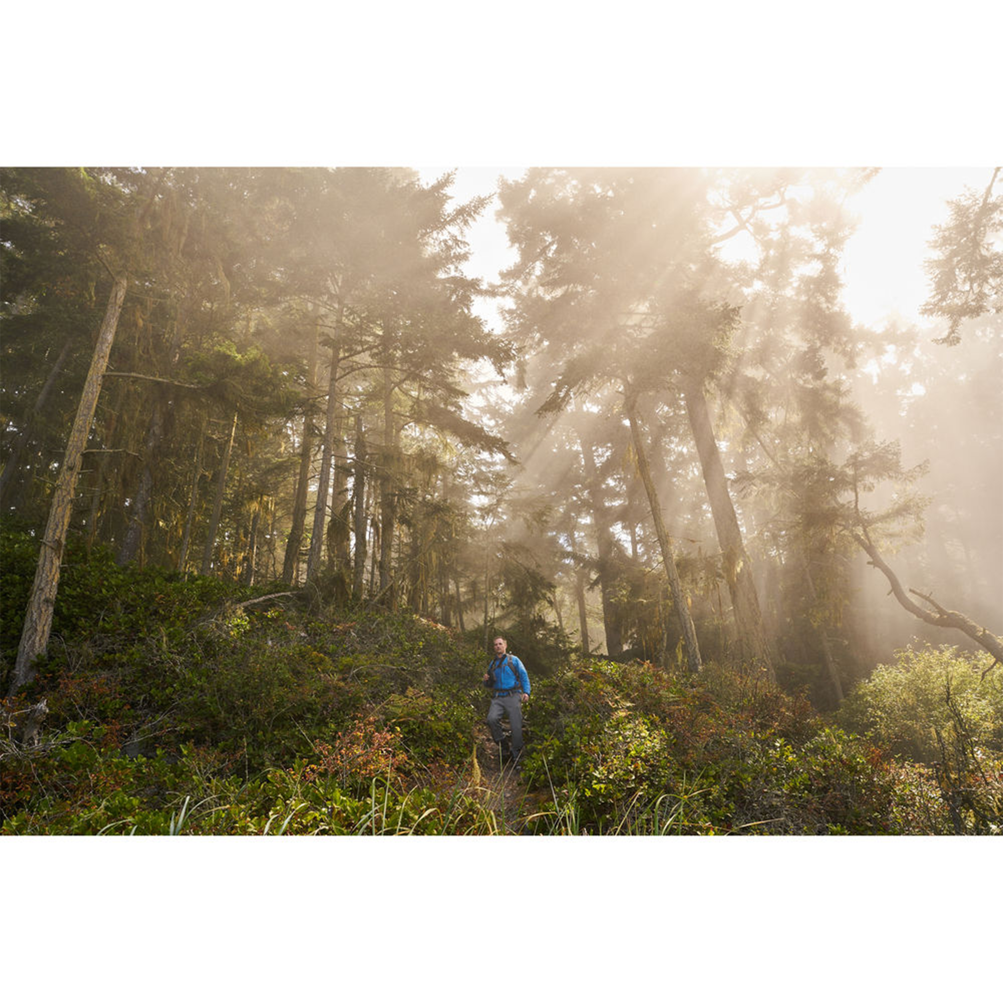 BlackRapid Binocular Breathe Strap - Comfortable & Adjustable Neck Strap for Binoculars - Perfect for Bird Watching, Hiking, and Outdoor Adventures