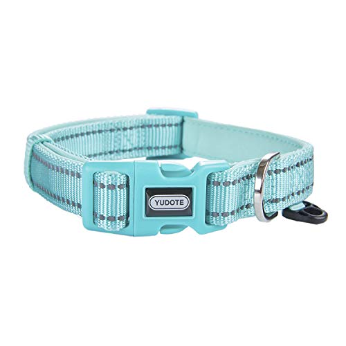 Collar-Teal