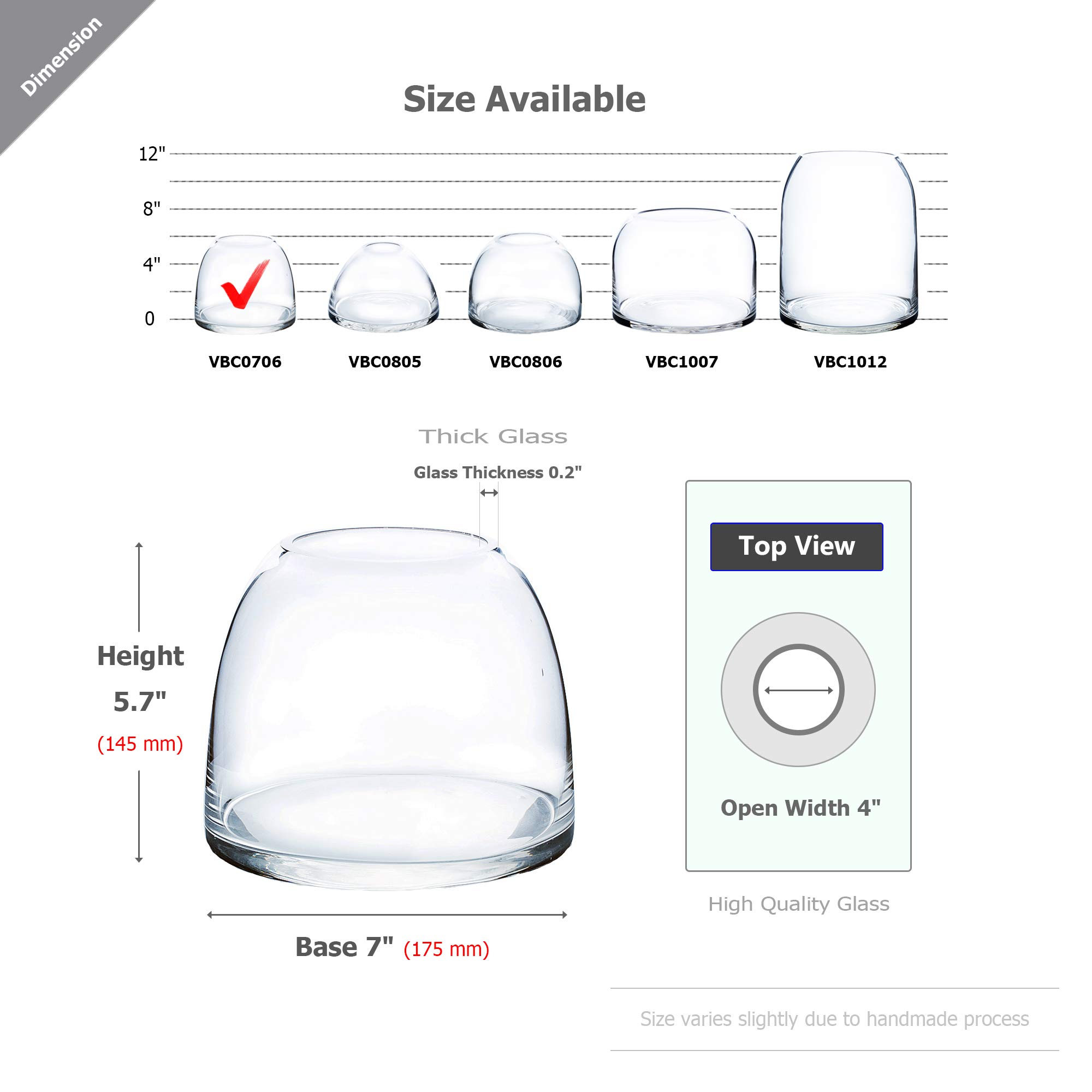 Clear Glass Dome Vase - 7