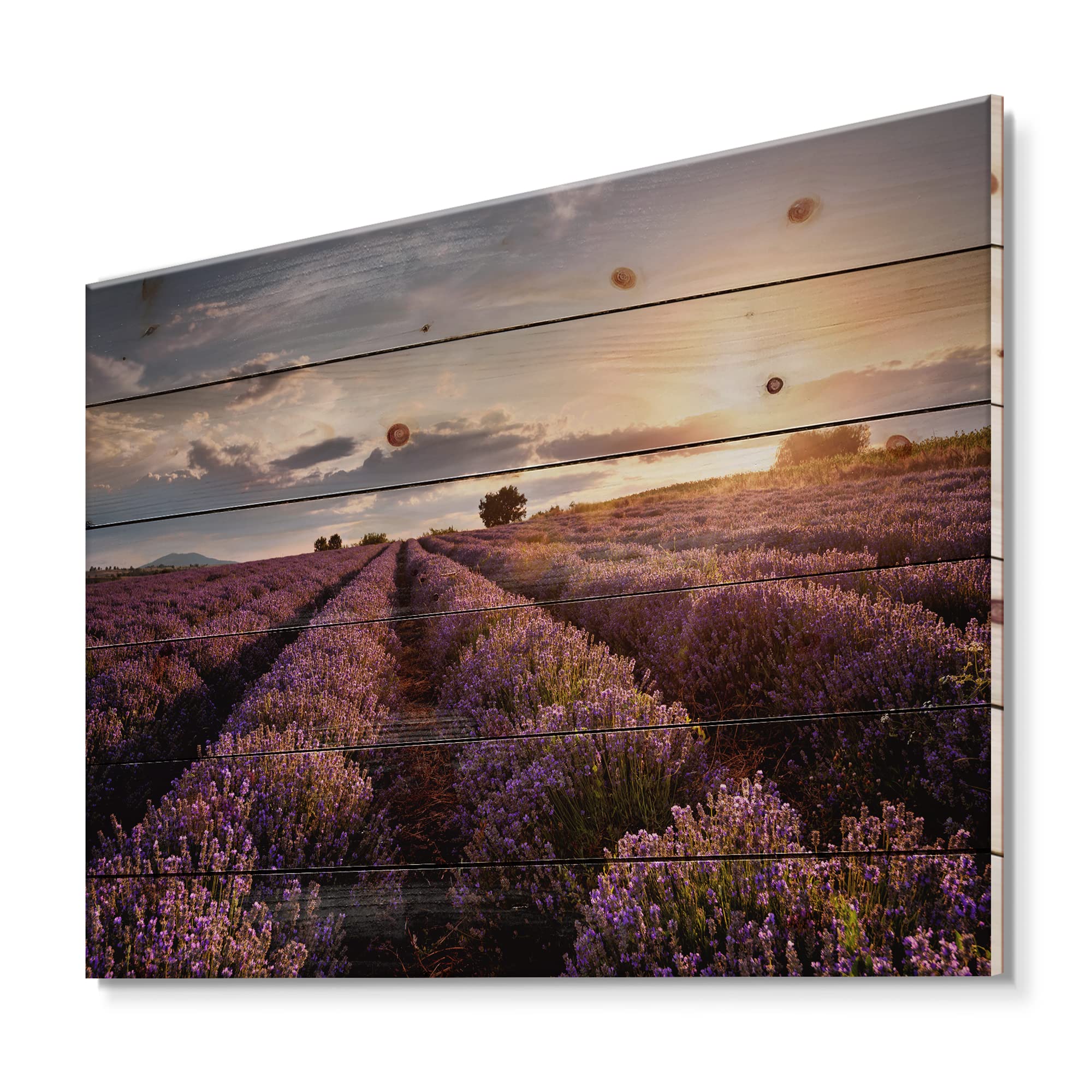 Farmhouse Wood Wall Art - Lavender Field Sunrise Landscape on Pine Wood for Home Decor