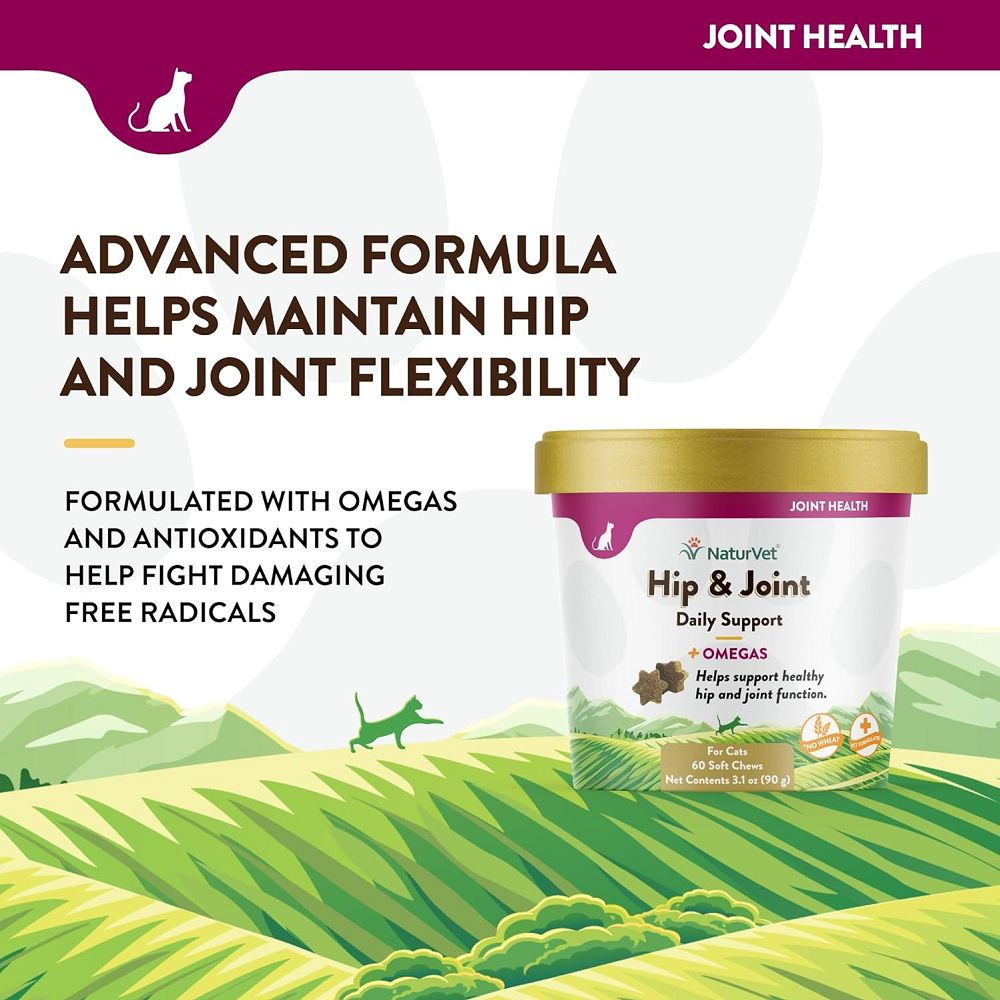 Hip & Joint Plus Omega Cat Soft Chews - Supports Joint Health & Mobility for Cats - Delicious Soft Treats for Senior & Active Cats - Perfect for Daily Supplement & Training Rewards