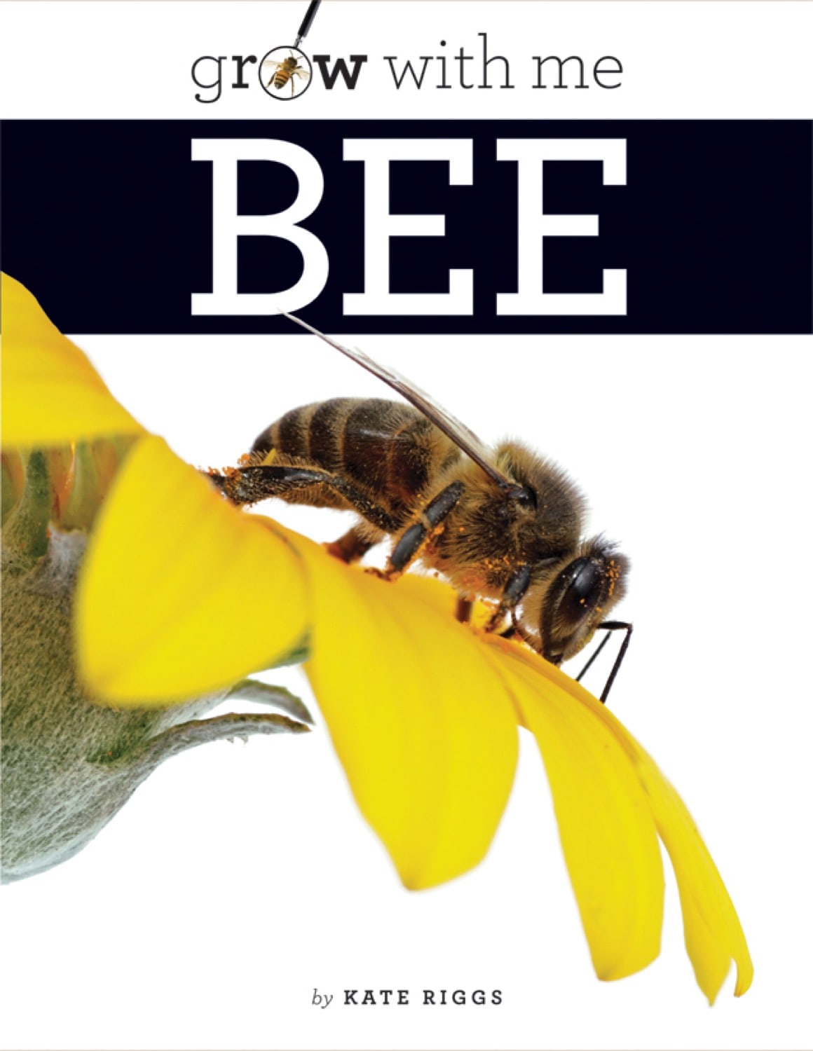 Bee Book 9781608182145 - Educational Guide for Kids & Nature Lovers | Perfect for Homeschooling & Outdoor Learning Activities