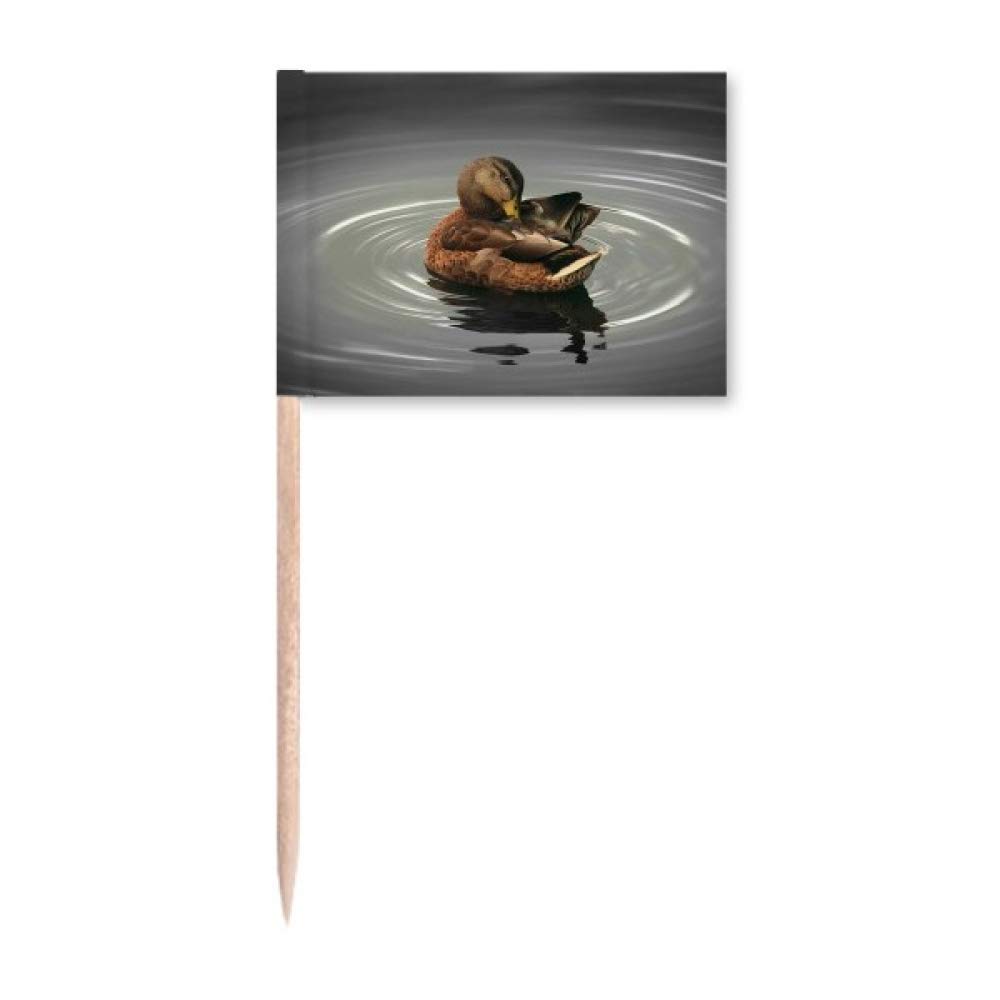 Swan Animal Photography Toothpick Flags - 50pcs Cute Party Decorations for Cupcakes, Desserts, and Cocktails | Perfect for Birthday, Wedding, and Baby Shower Decor