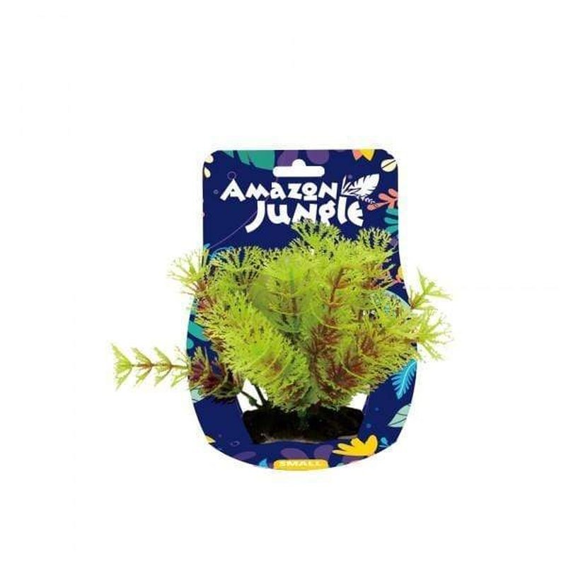 Amazon Jungle Myriophyllum Aquatic Plant - 10-12cm Tall Live Aquarium Plants for Fish Tank Decoration | Perfect for Freshwater Aquascaping & Shrimp Habitat