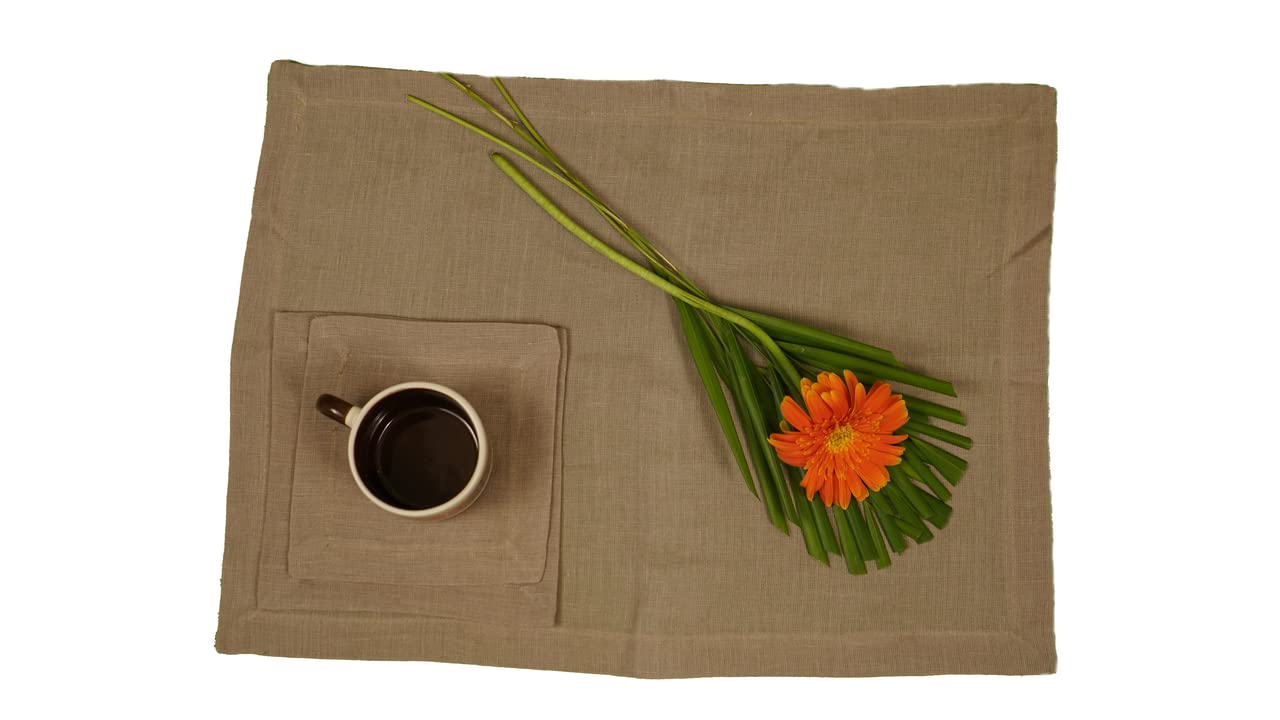 Premium 100% French Flax Linen Placemats Set of 12 (14x19 Inches) - Stone Washed for Softness & Durability, Heat Resistant Table Mats - Natural Color for Elegant Dining, Kitchen Decor & Dinner Parties